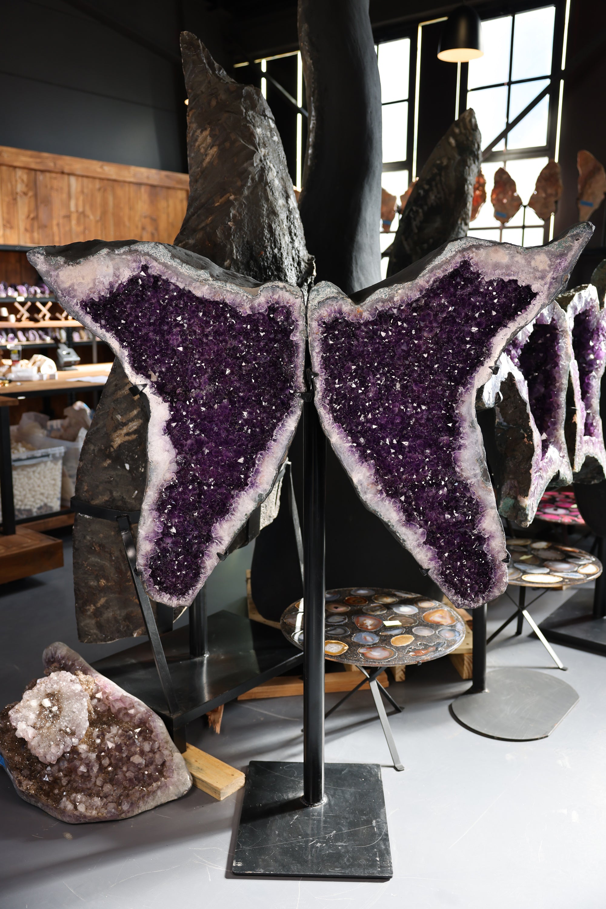 Amethyst Schmetterling Paar große druse 162,8 Kg Brasilien tiefviolette Kristalle - Violet Wings