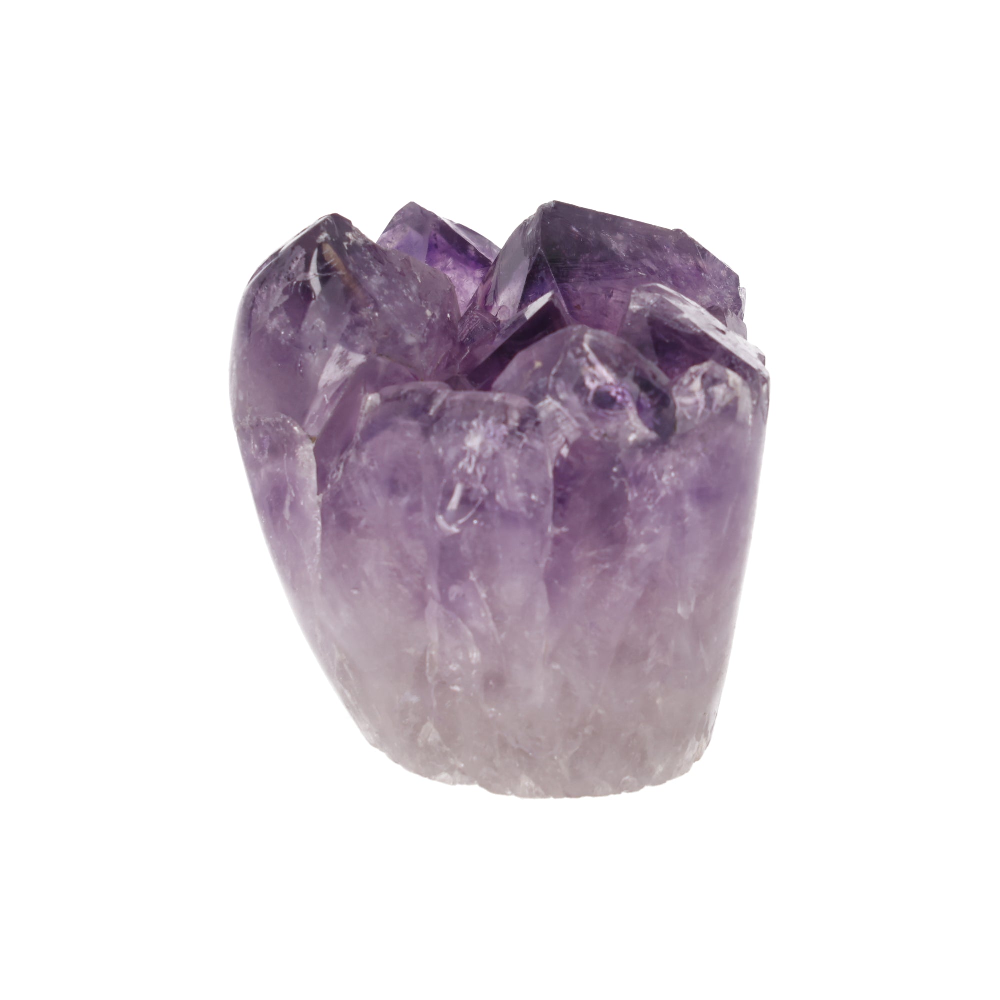 Violet Bloom ✦ Amethyst Cup Cake | 538 g (#907)