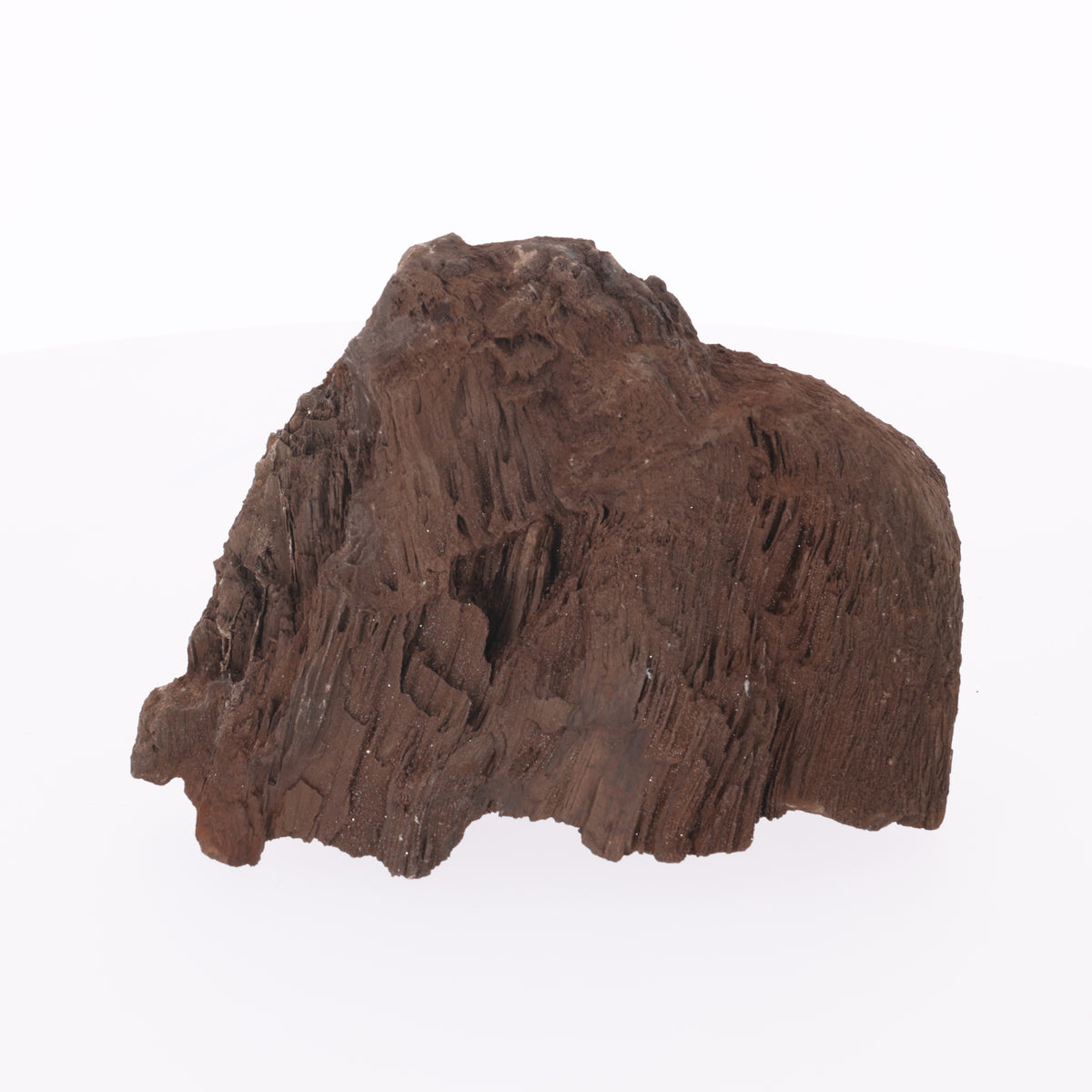 Feenholz mit natürlicher Kristallbildung | Versteinertes Holz aus Zwenkau | 2537 g (#1423)