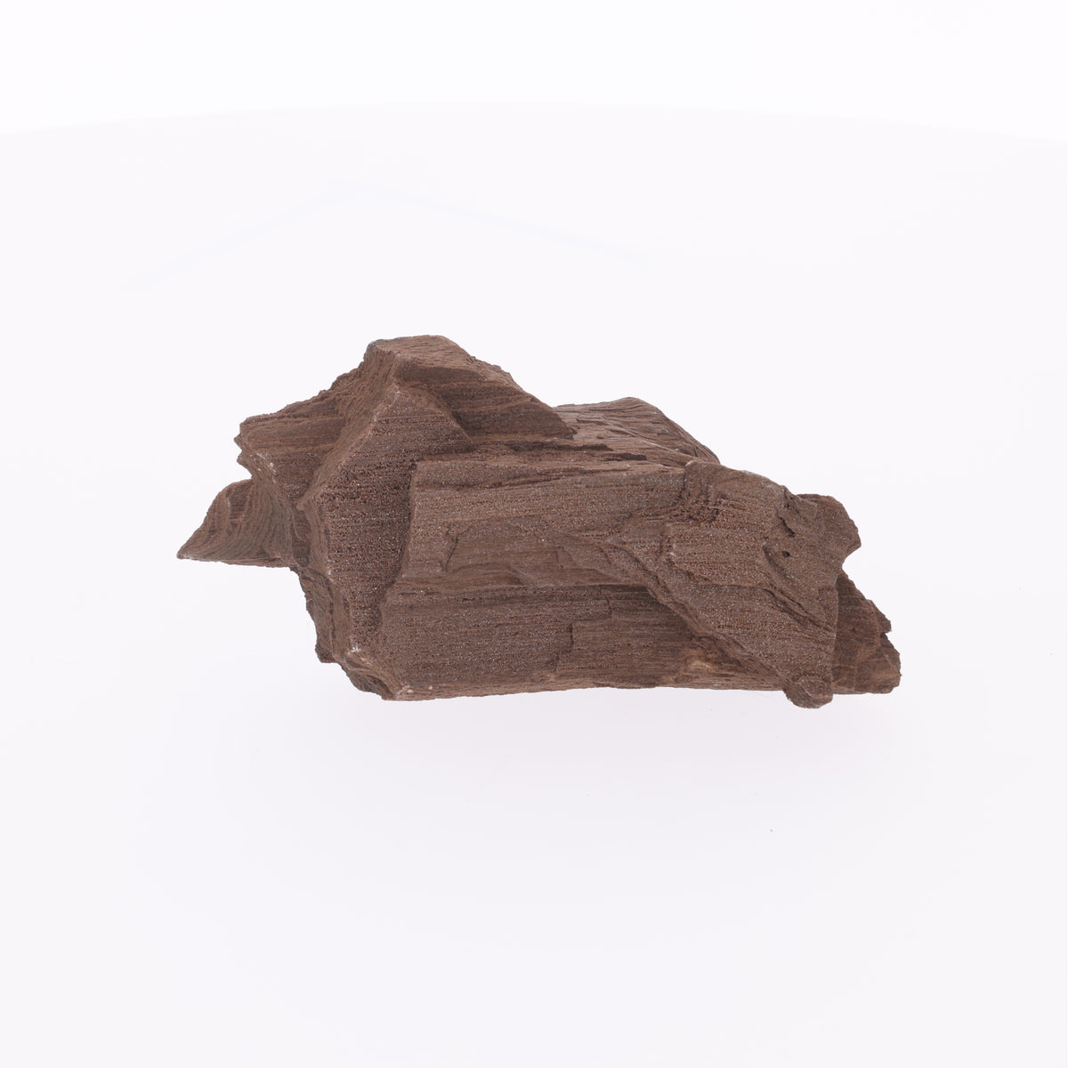 Feenholz mit natürlicher Kristallbildung | Versteinertes Holz aus Zwenkau | 798 g (#1426)