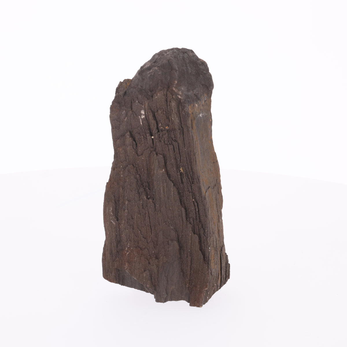Feenholz mit natürlicher Kristallbildung | Versteinertes Holz aus Zwenkau | 1750g (#1419)