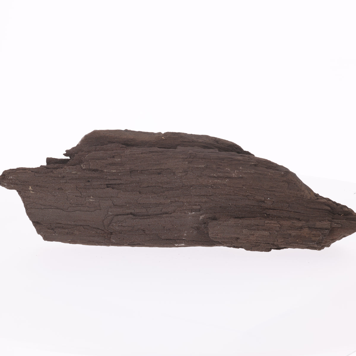 Feenholz mit natürlicher Kristallbildung | Versteinertes Holz aus Zwenkau | 2993 g (#1428)