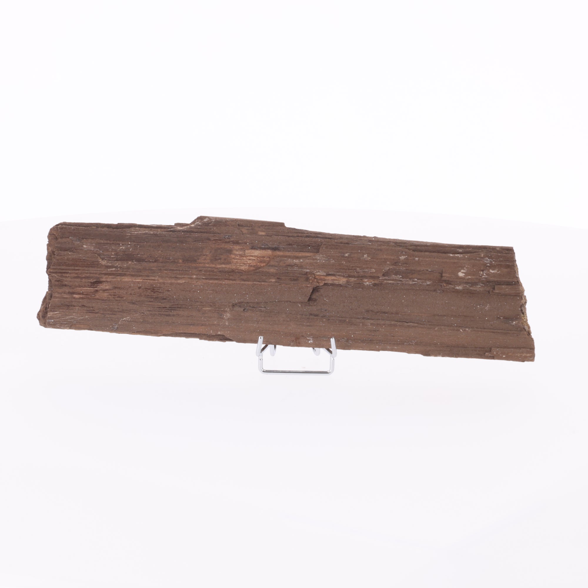 Feenholz mit natürlicher Kristallbildung | Versteinertes Holz aus Zwenkau | 367 g (#1427)