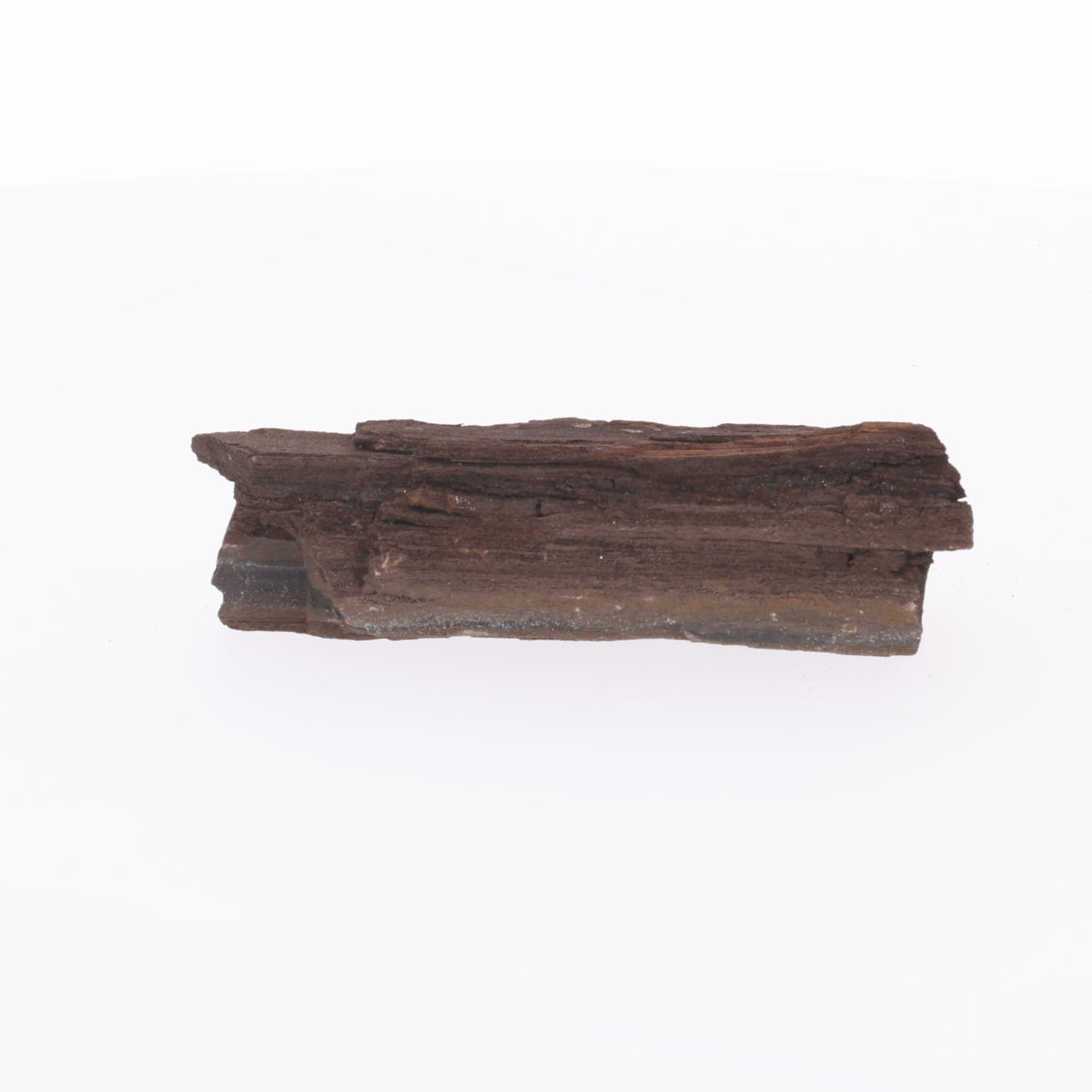Fairy wood with natural crystal formation | Petrified wood from Zwenkau | 13g