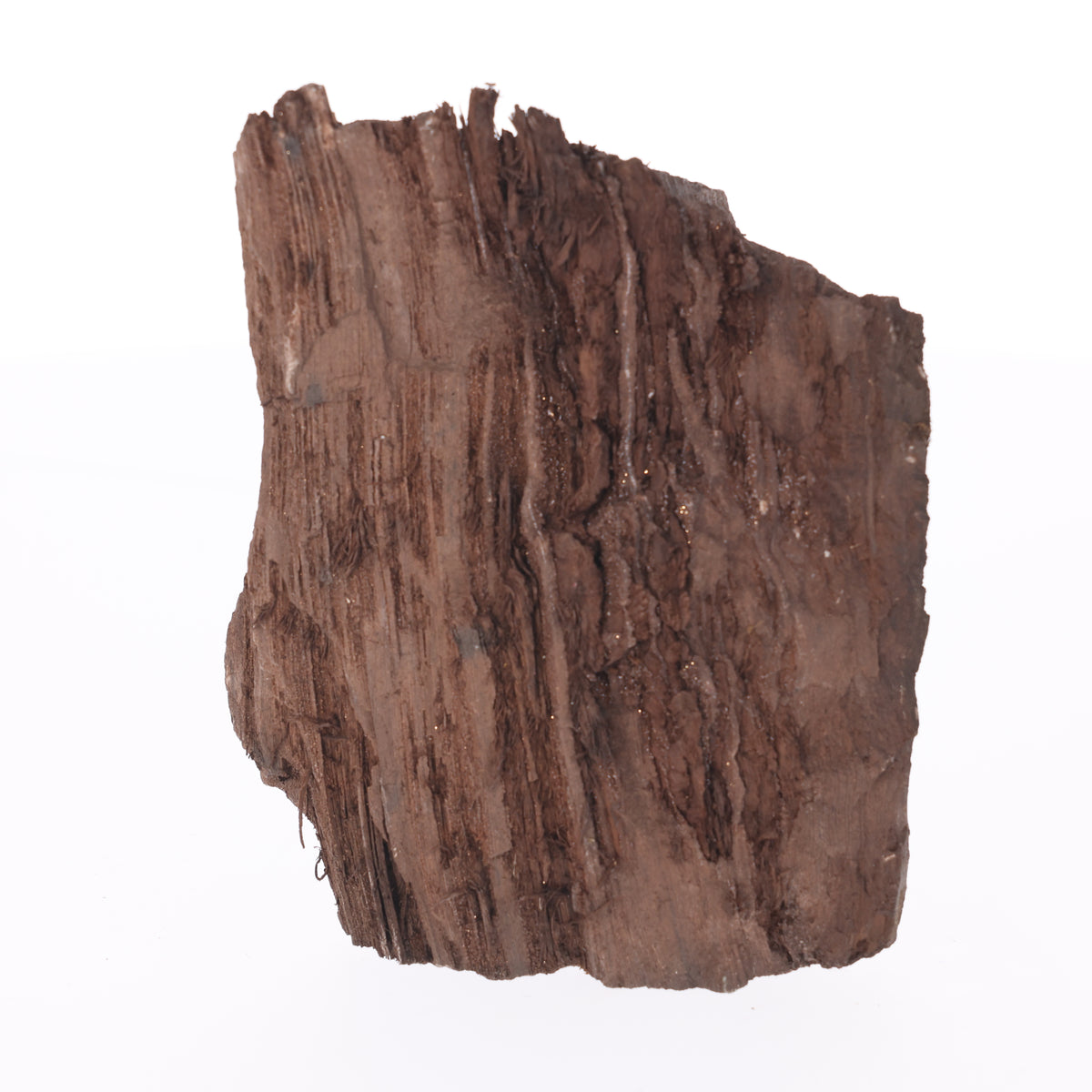 Feenholz mit natürlicher Kristallbildung | Versteinertes Holz aus Zwenkau | 575 g (#1464)