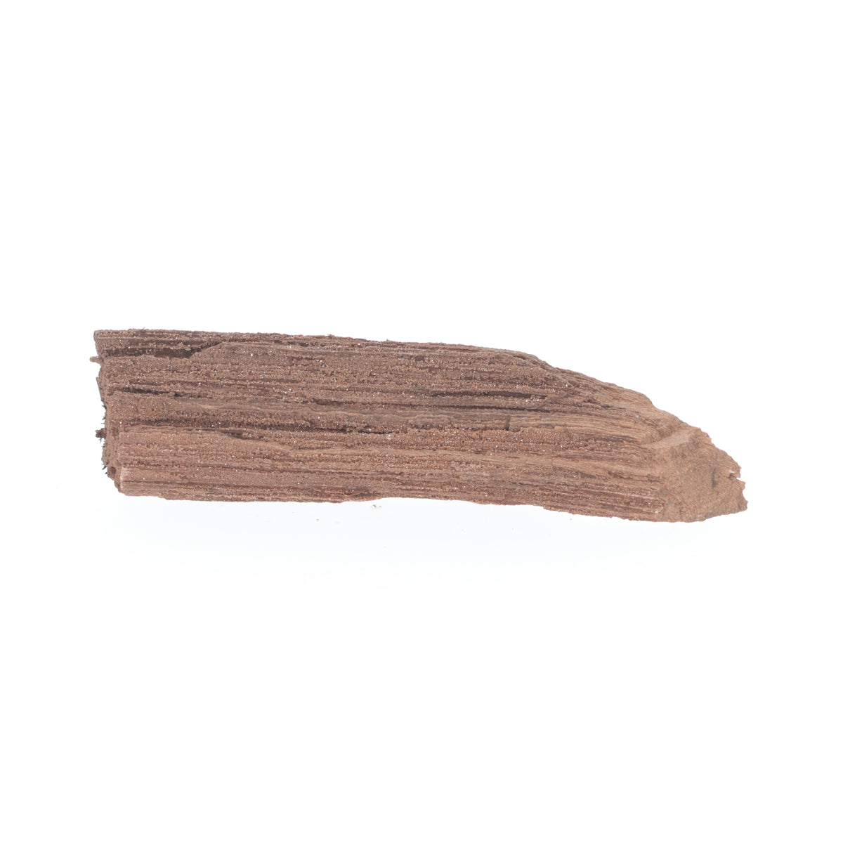 Feenholz mit natürlicher Kristallbildung | Versteinertes Holz aus Zwenkau | 62 g (#1541)