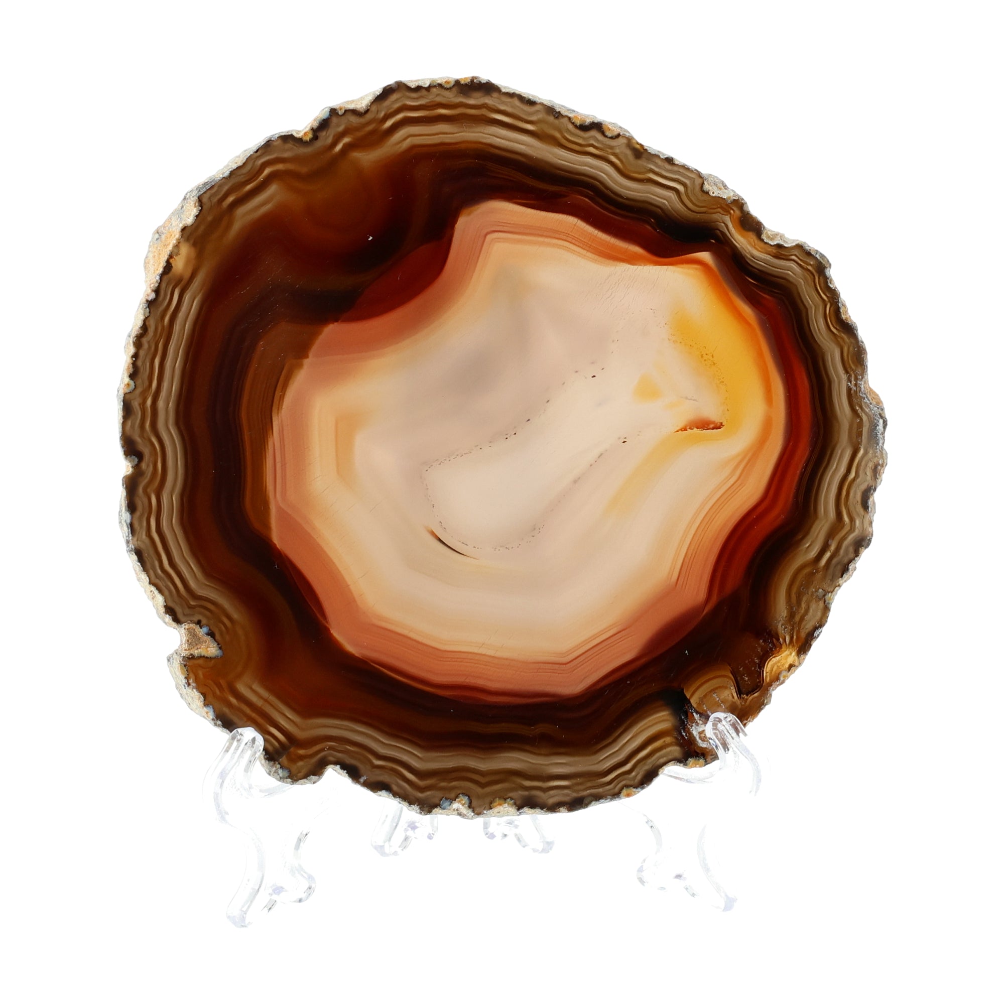 Amber Glow Agate Slice - warm amber and honey tones with clear banding (#175)