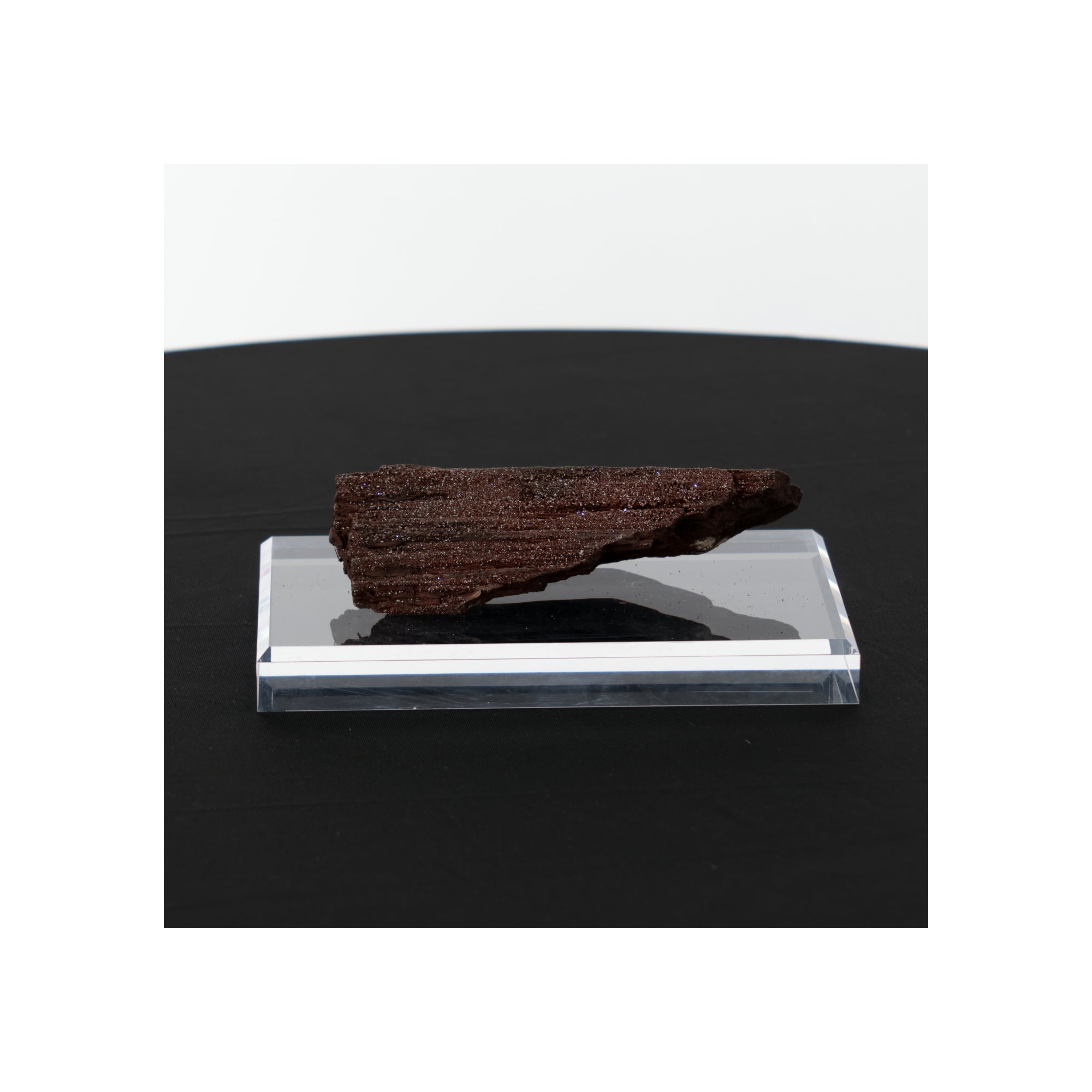 Feenholz mit natürlicher Kristallbildung | Versteinertes Holz aus Zwenkau | 339g