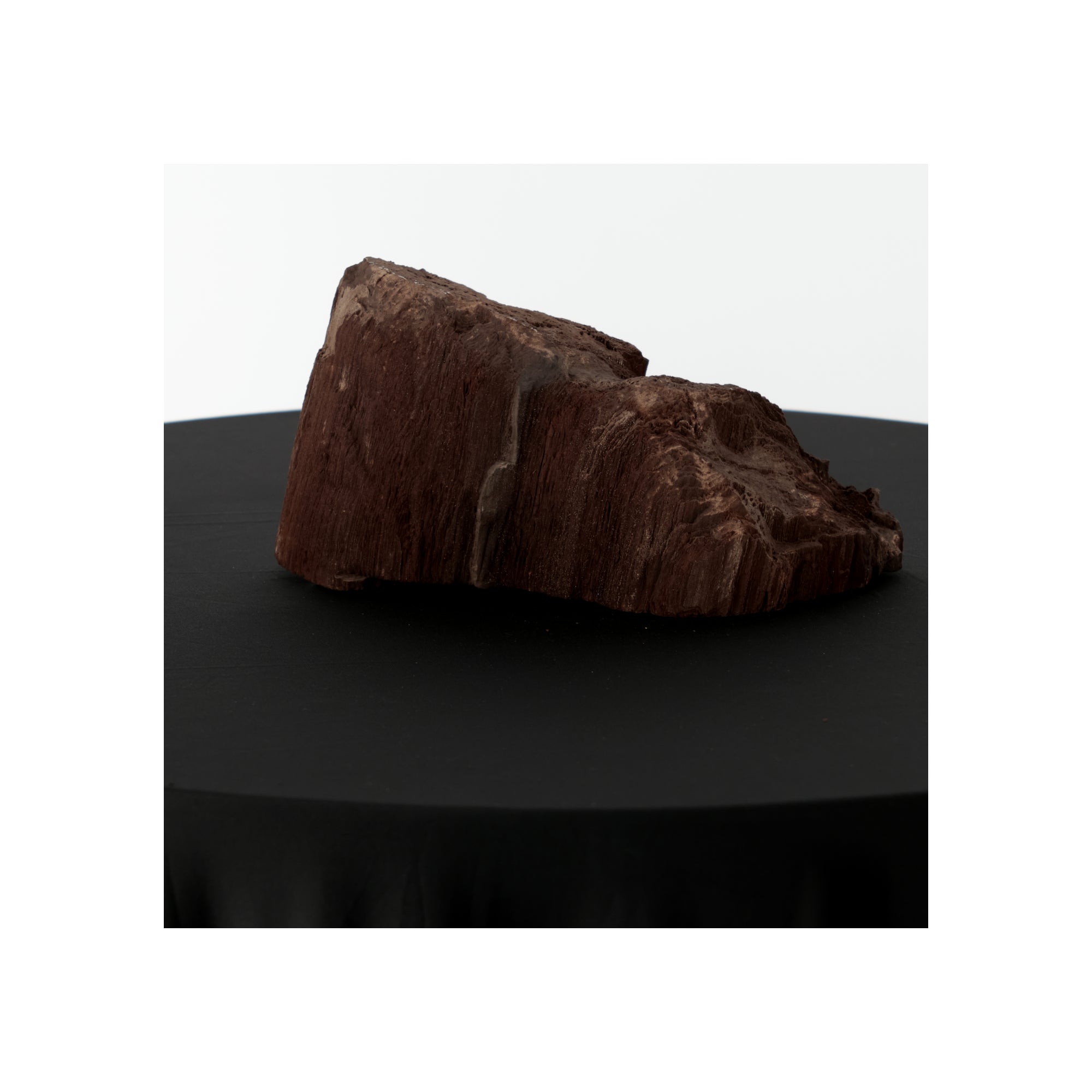 Feenholz mit natürlicher Kristallbildung | Versteinertes Holz aus Zwenkau |3600g