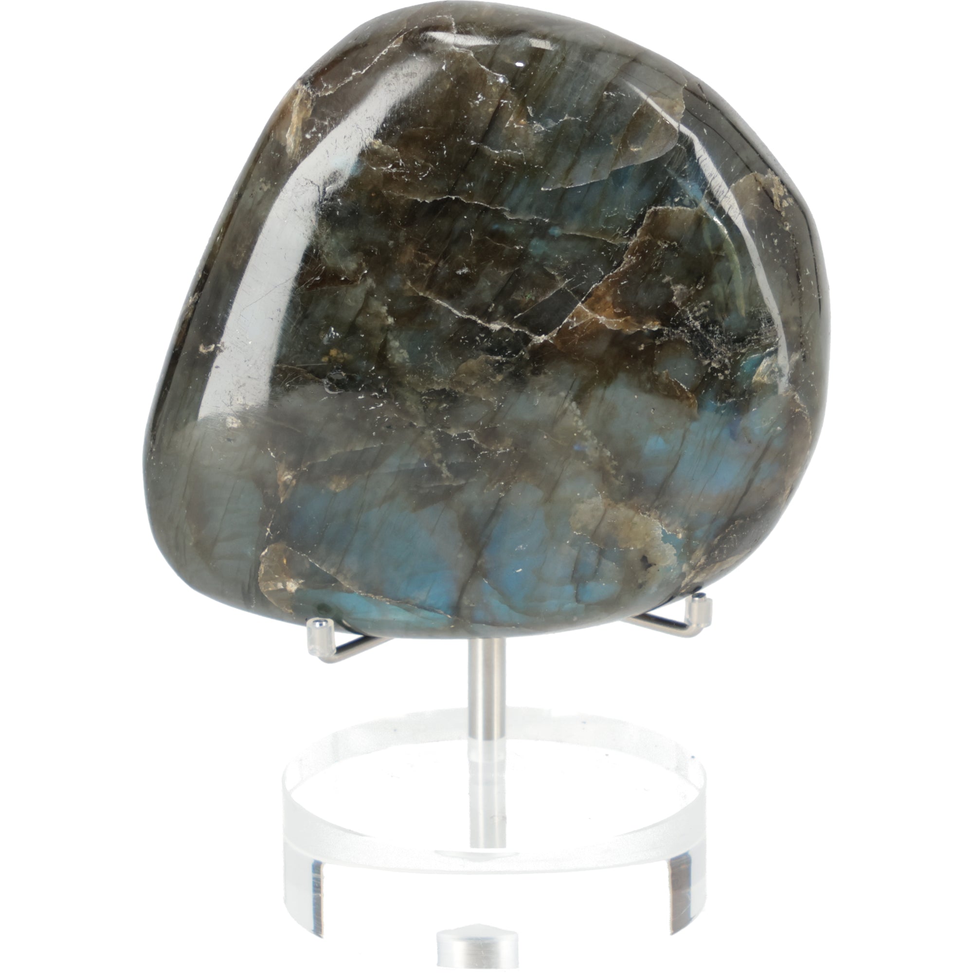 Labradorit Freeform „Aurora Tide“ mit intensivem Blauschimmer 294g (#704)