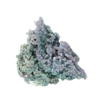 Signature Collection