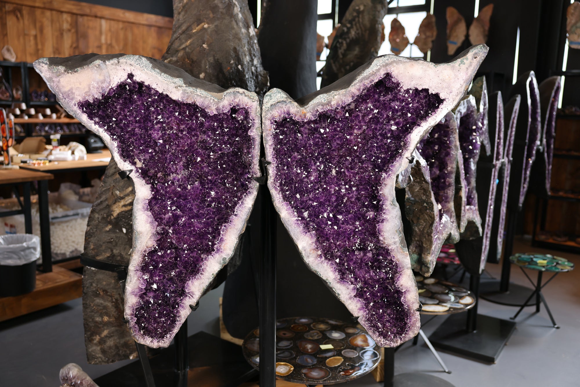 Amethyst Schmetterling Paar große druse  162,8 Kg Brasilien tiefviolette Kristalle - Violet Wings