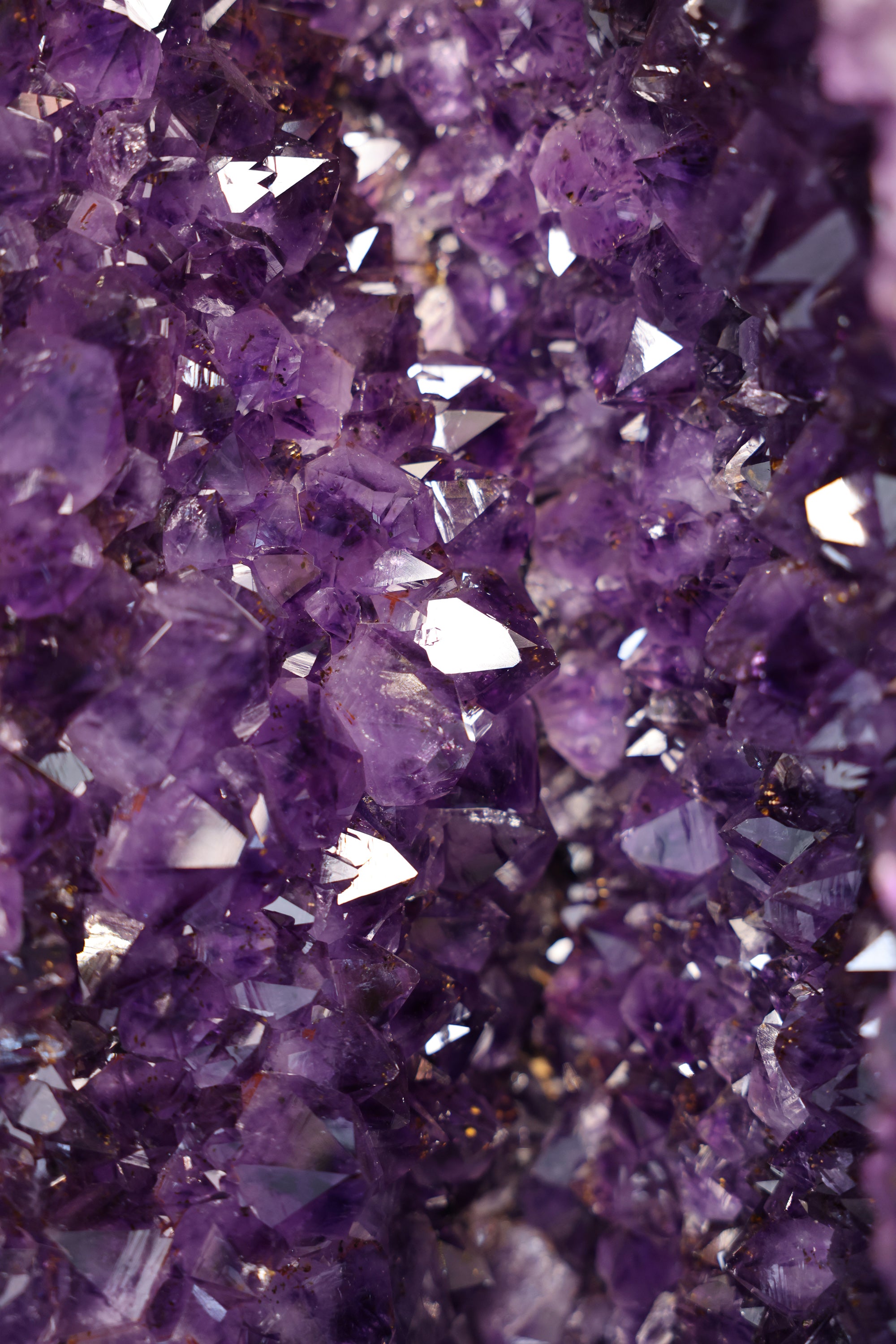 Große Amethyst Druse Brasilien 150 Kg - Obsidian Soul