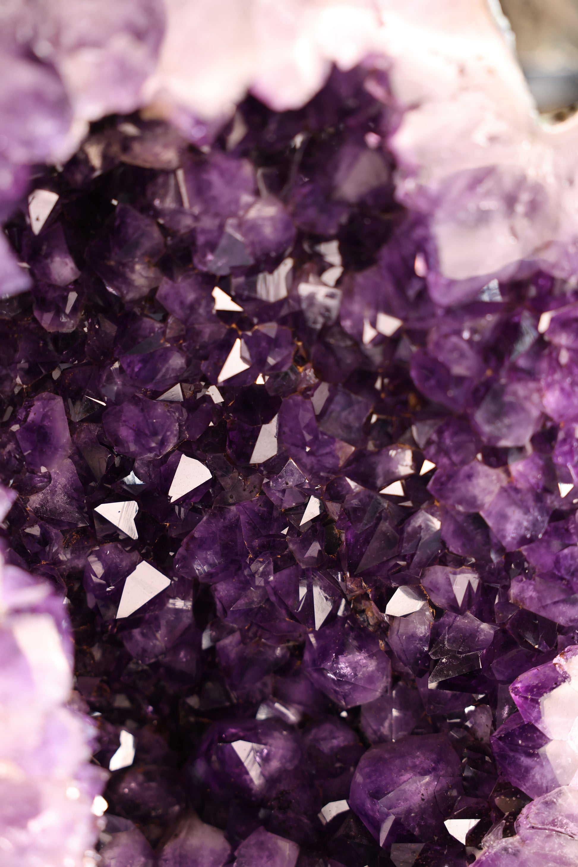 171 kg schwerer Amethyst Butterfly aus Brasilien mit figurativer Doppelstruktur in Form zweier Pferdekörper auf Standfuß