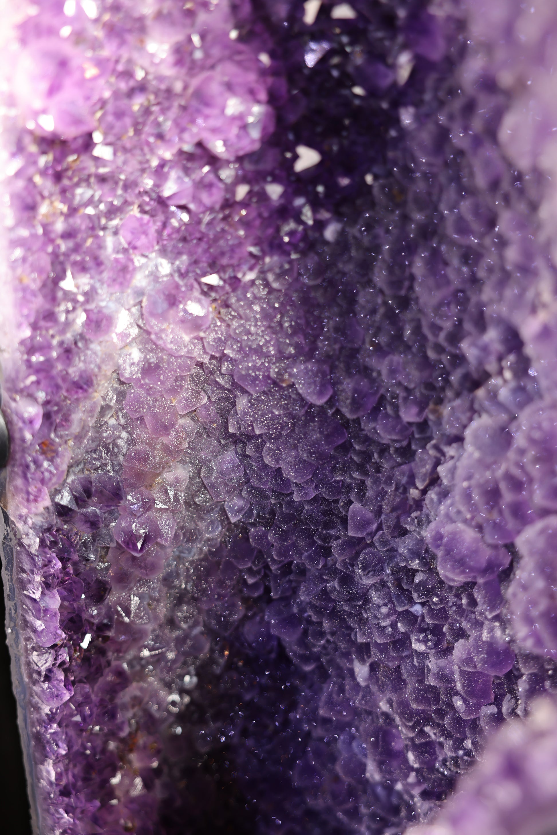 Großes Amethyst Druse Schmetterlings Butterfly Paar 118 Kg Brasilien - Velvet Wings