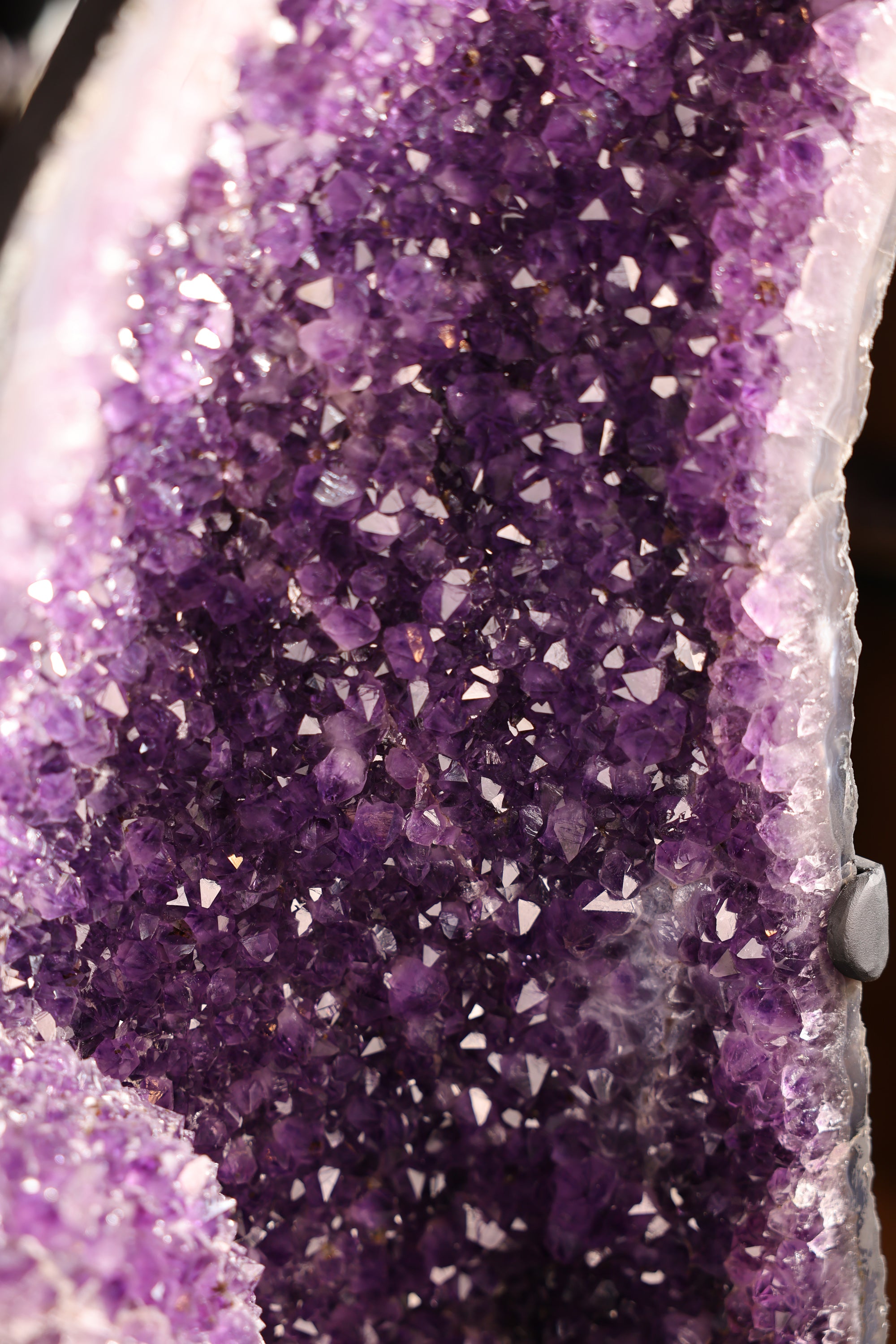 Großes Amethyst Druse Schmetterlings Butterfly Paar 118 Kg Brasilien - Velvet Wings