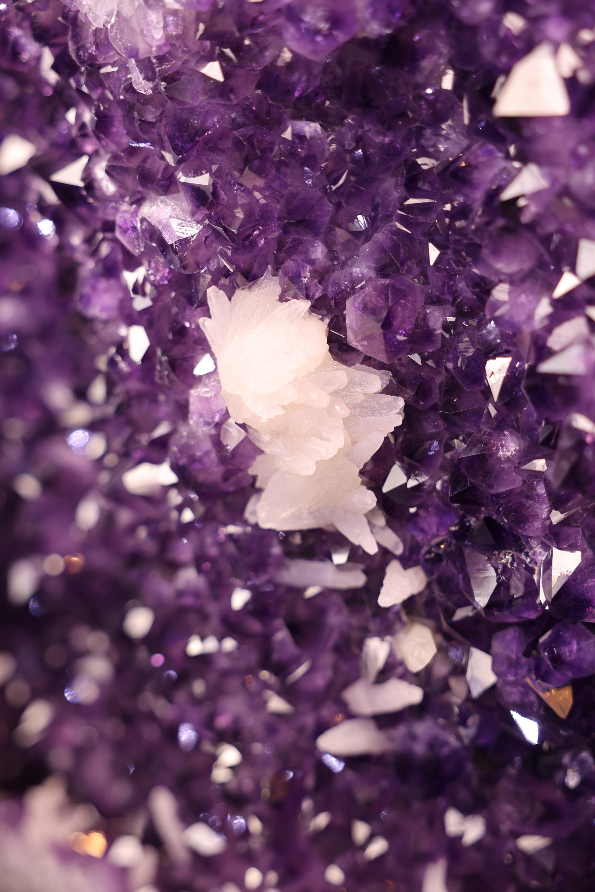 Amethyst Druse 76,5 Kg Brasilien tiefviolette Kristalle mit Calcit - Core Light (Teil 1)