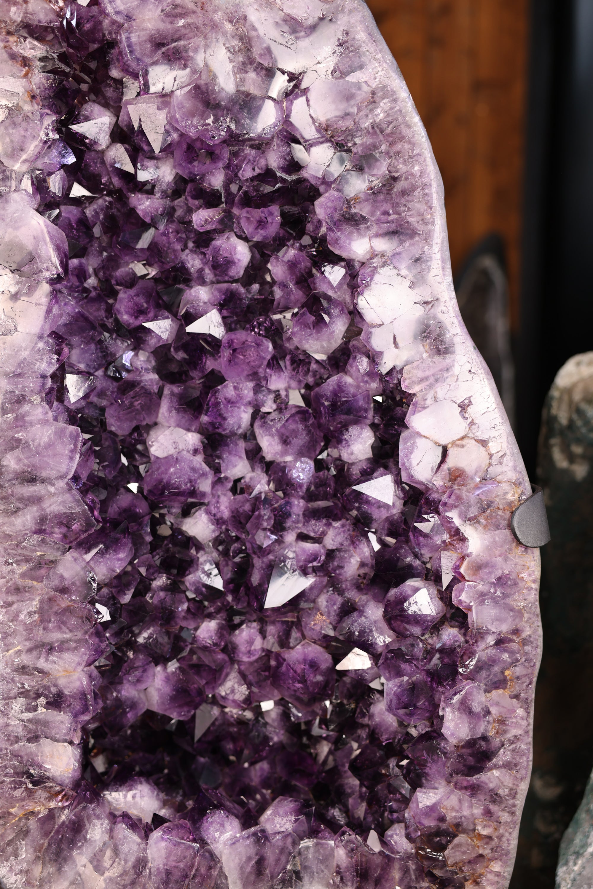 98,9 kg schwere Amethystdruse aus Brasilien mit großen violetten Kristallspitzen und poliertem Achatrand