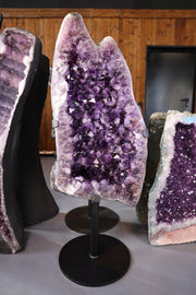 98,9 kg schwere Amethystdruse aus Brasilien mit großen violetten Kristallspitzen und poliertem Achatrand
