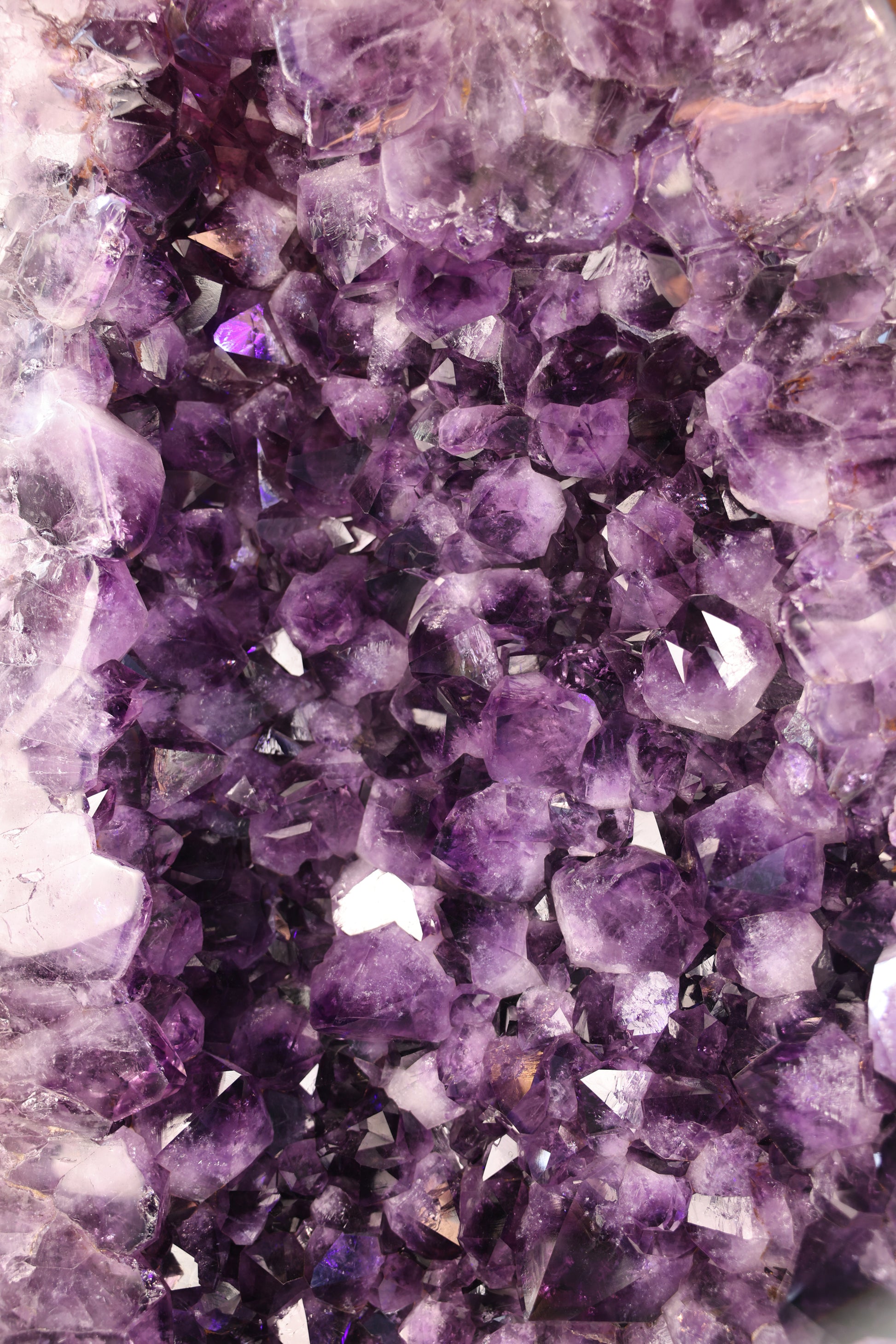 98,9 kg schwere Amethystdruse aus Brasilien mit großen violetten Kristallspitzen und poliertem Achatrand