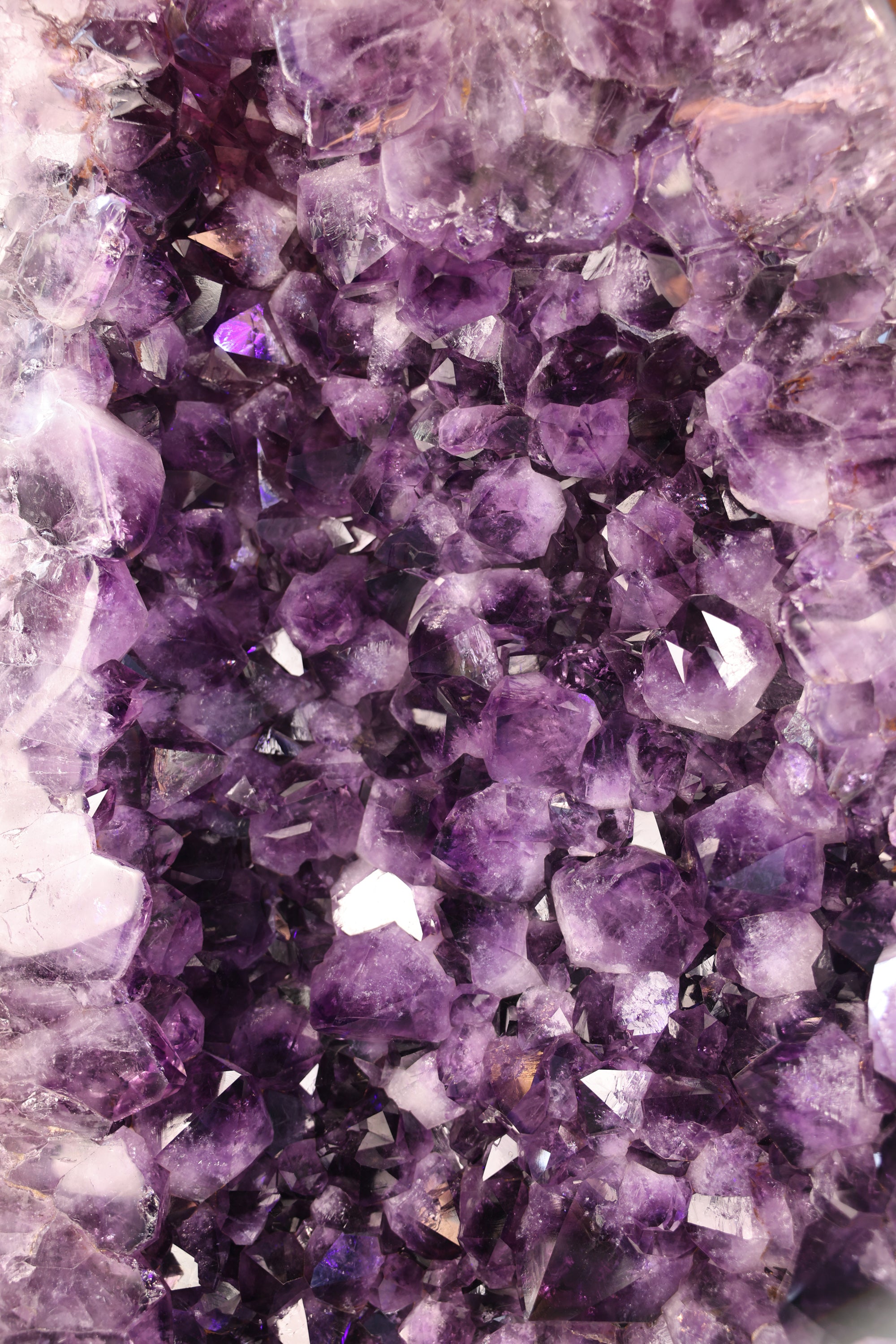 98,9 kg schwere Amethystdruse aus Brasilien mit großen violetten Kristallspitzen und poliertem Achatrand