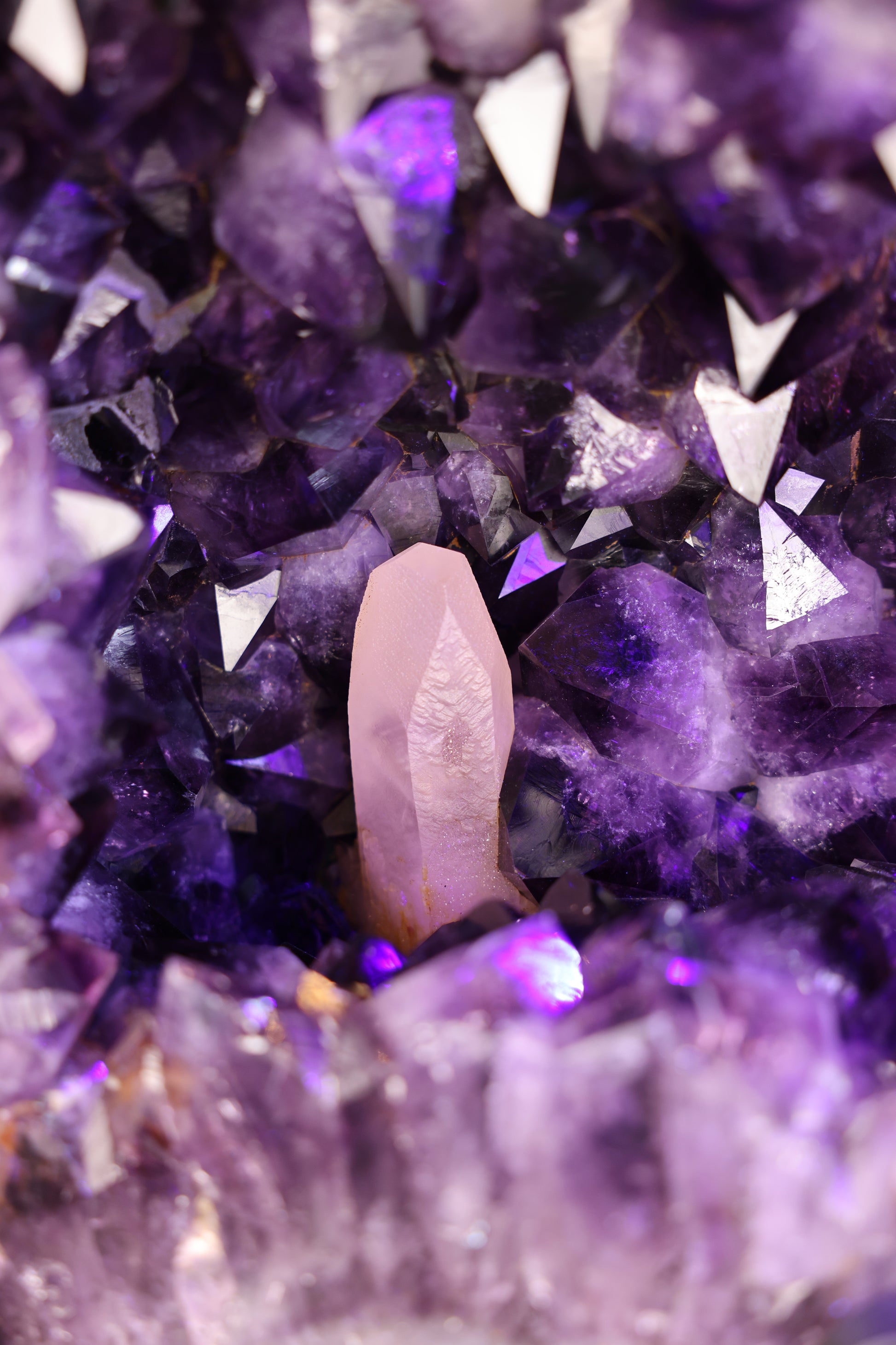 11,8 kg schwere Amethystdruse aus Brasilien mit großen violetten Kristallspitzen, zentralem Calcitkristall und poliertem Achatrand auf Metallstandfuß