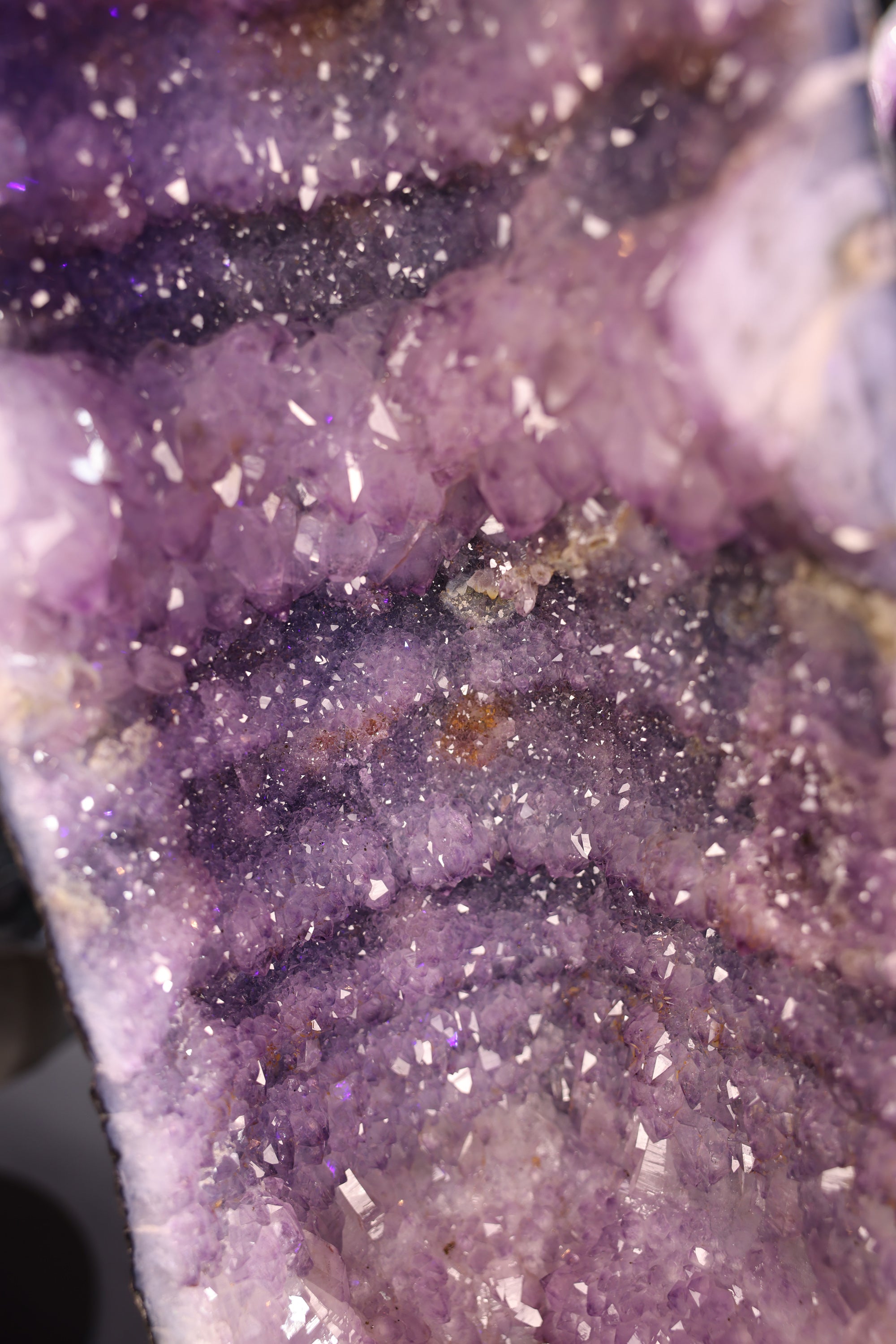 Nahaufnahme einer Amethyst-Druse mit violetten Quarzkristallen und sichtbarer Kristallspitzenstruktur.