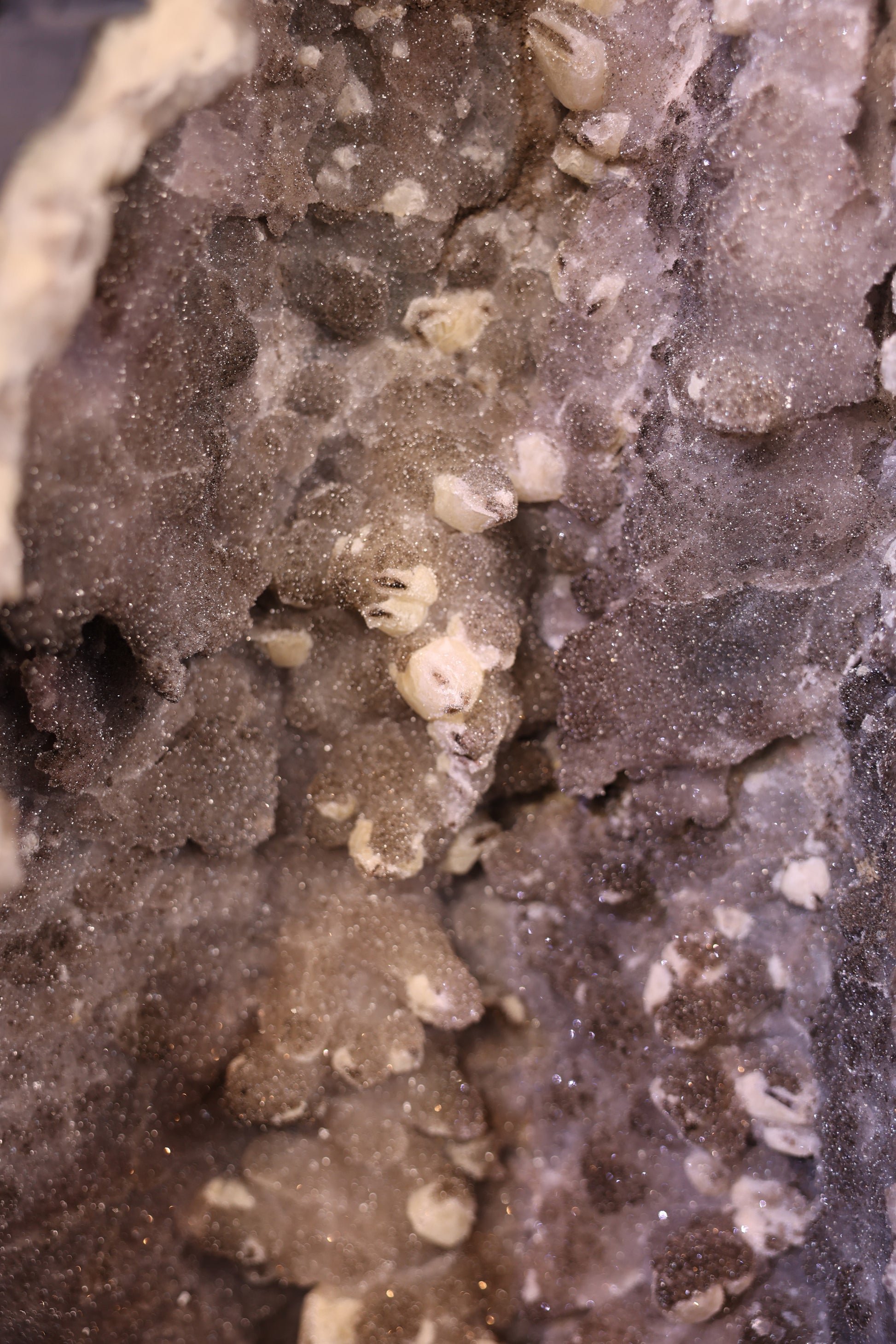 Amethyst-Kathedrale aus Brasilien mit dichter Sugaring Kristallstruktur, 109,8 Kg schwere Geode als exklusives Wohnobjekt.