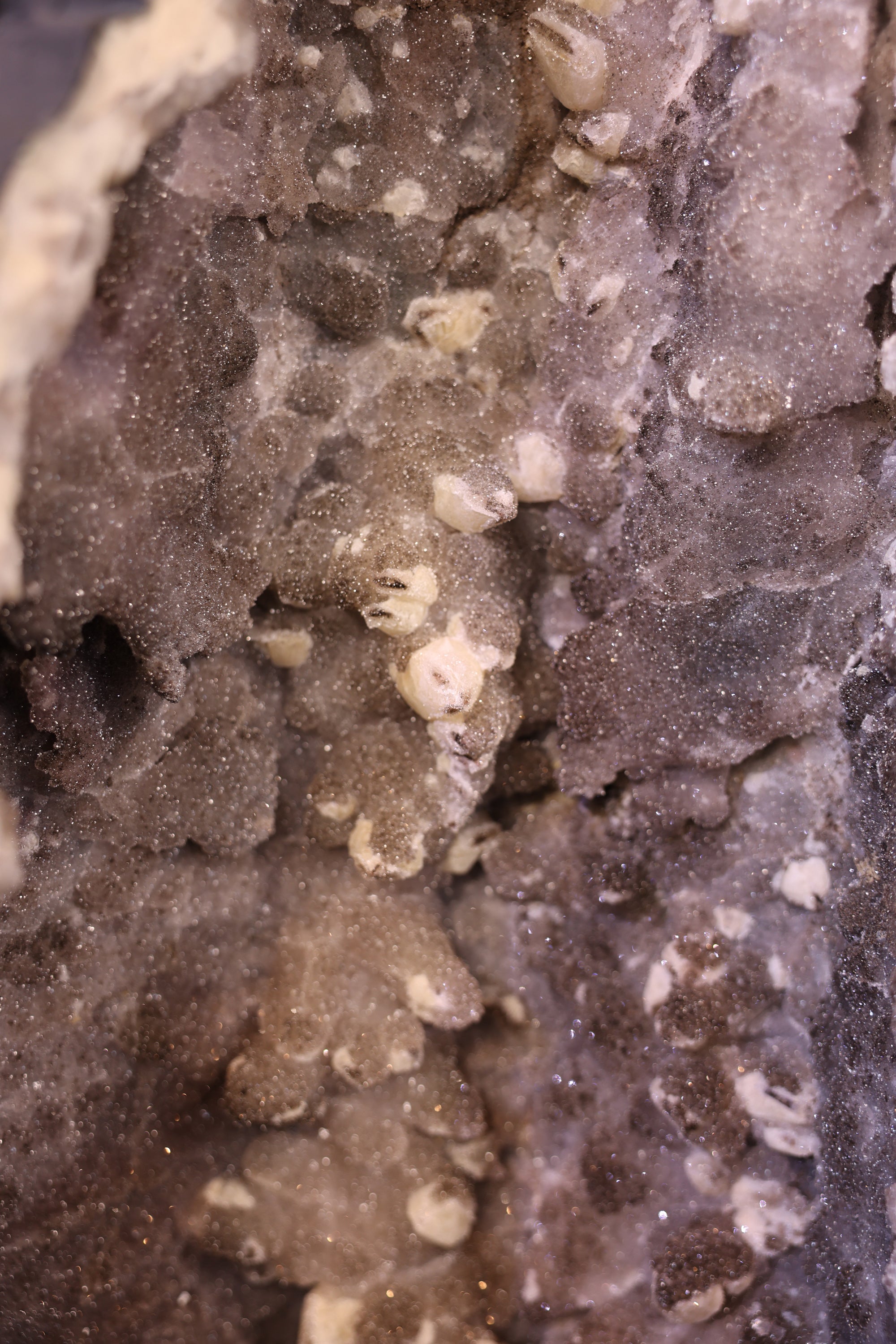 Amethyst-Kathedrale aus Brasilien mit dichter Sugaring Kristallstruktur, 109,8 Kg schwere Geode als exklusives Wohnobjekt.