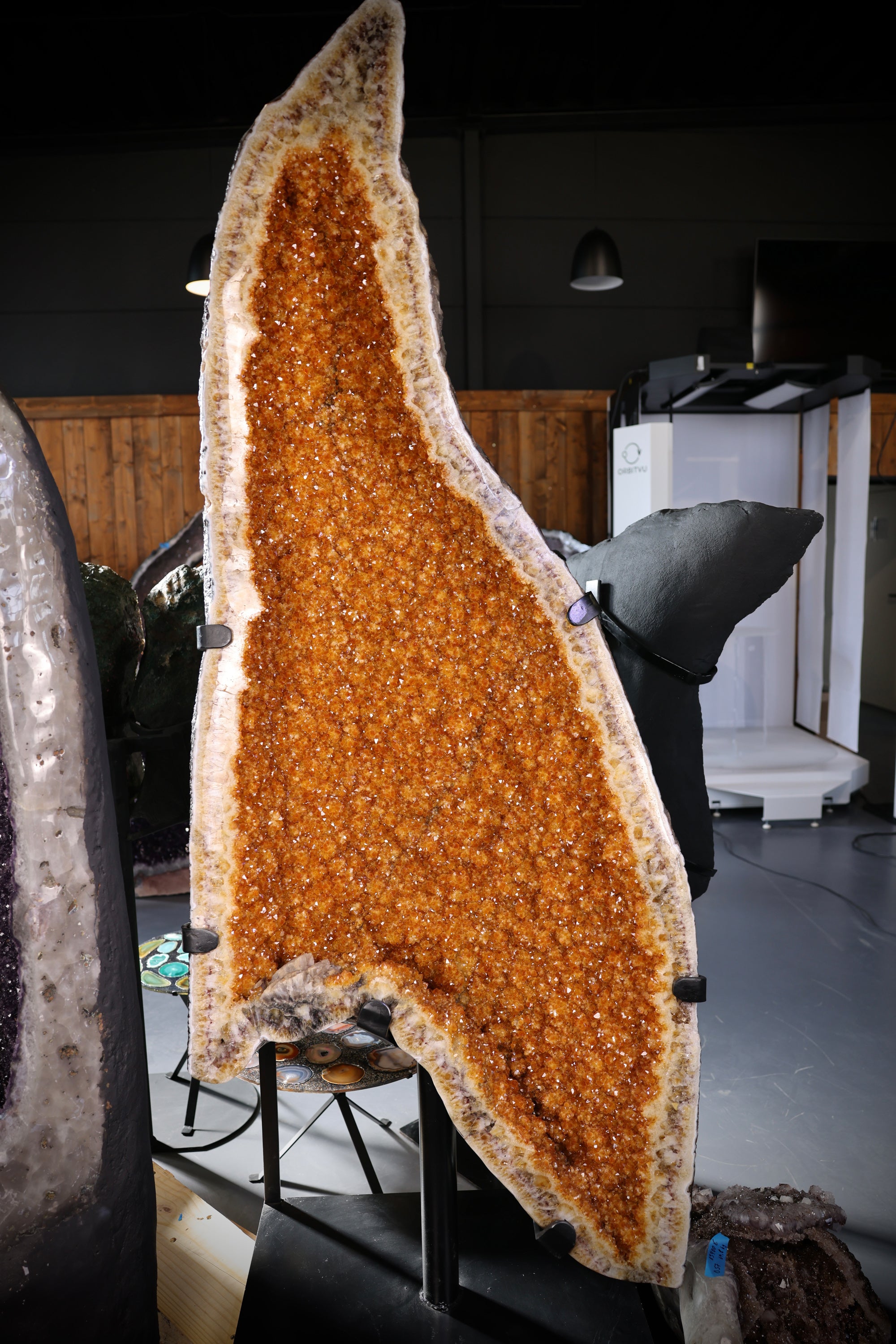 Sehr Große Citrin-Druse Butterfly Schmetterling Flügel 294 kg Brasilien - Amber Giant