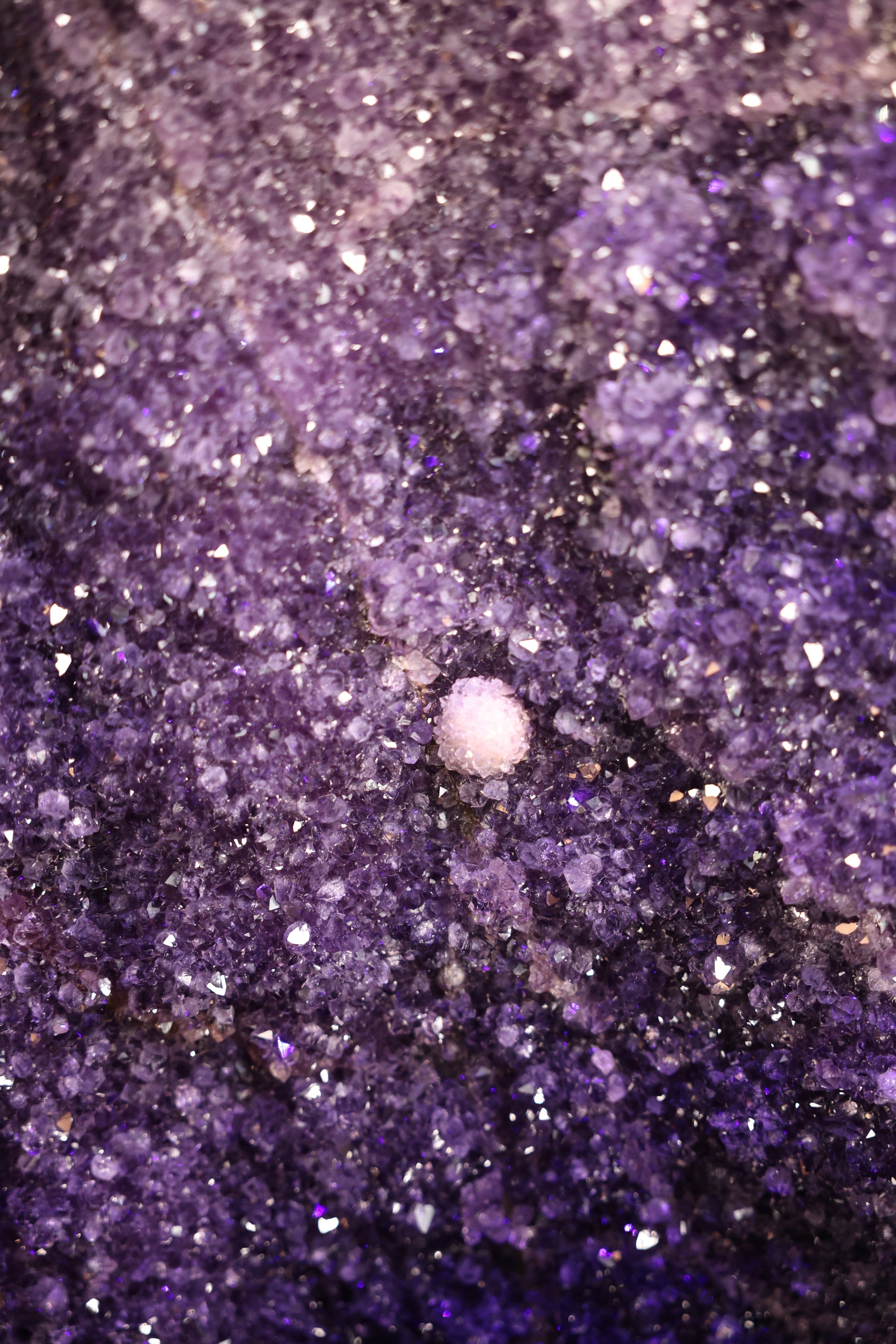 Gewaltige Amethyst Kathedrale Geode Brasilien 780 Kg - Midnight Cathedral