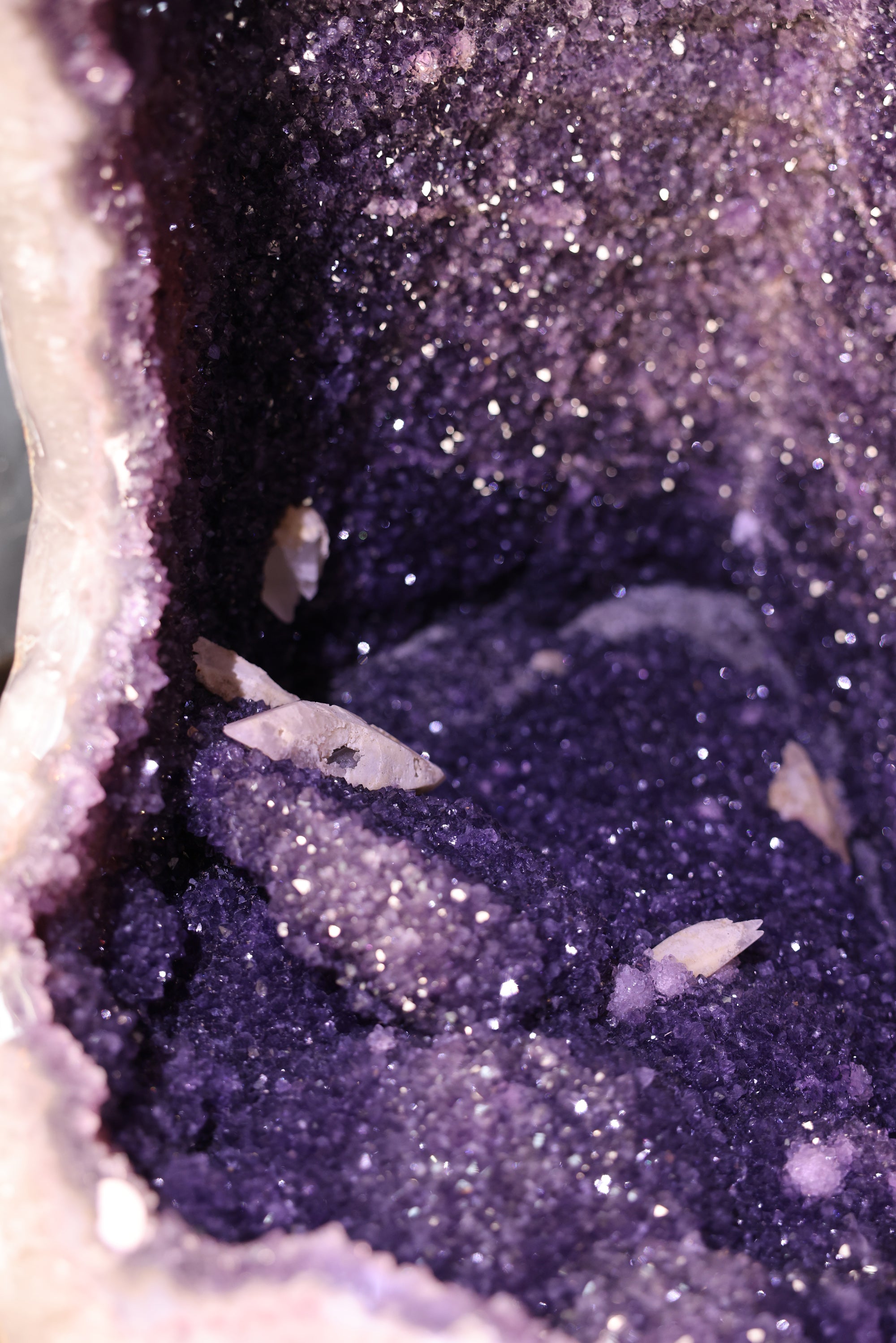 Gewaltige Amethyst Kathedrale Geode Brasilien 780 Kg - Midnight Cathedral