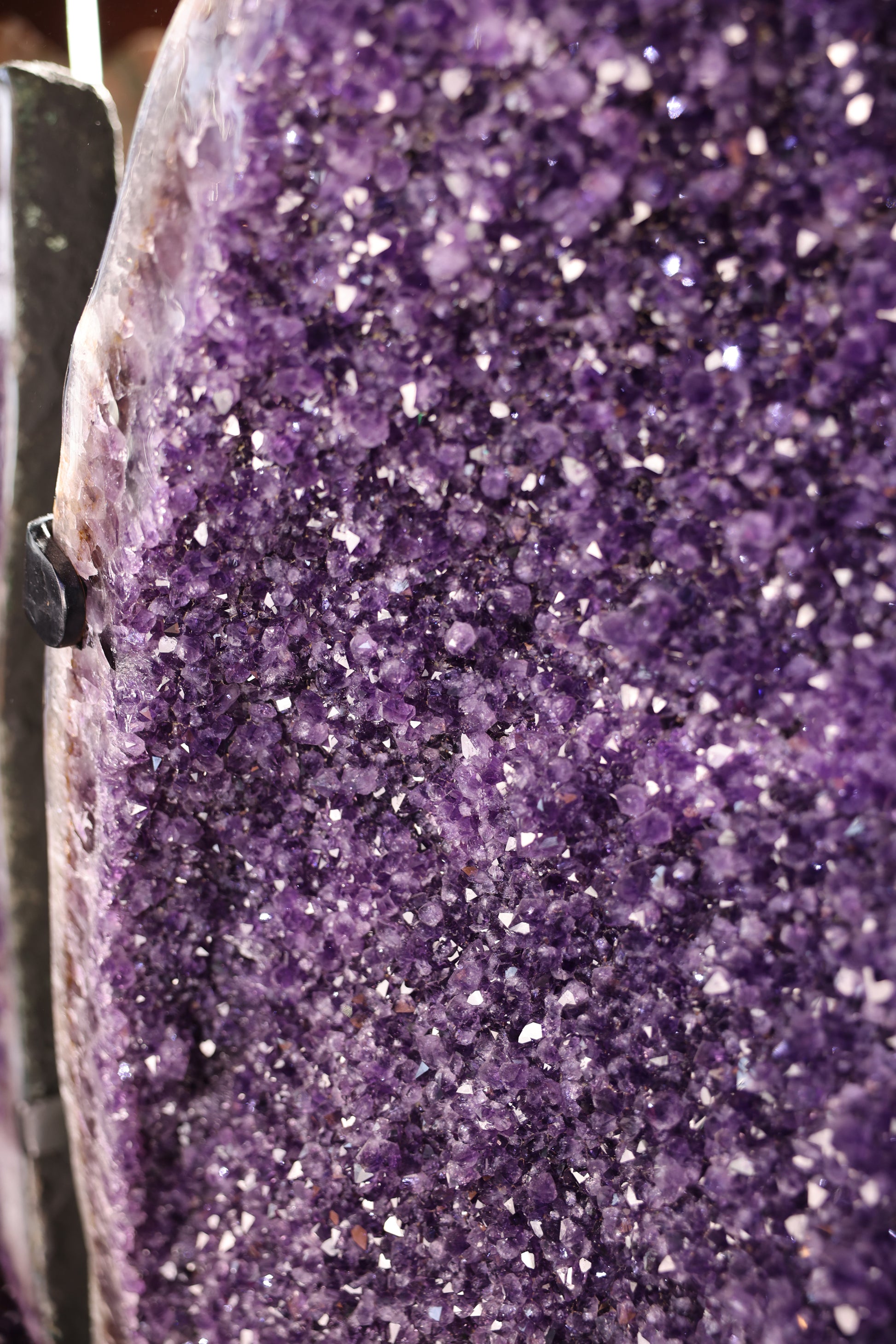 Sehr große Amethyst-Druse Schmetterling Butterfly Flügel 323 Kg Brasilien - Imperial Void