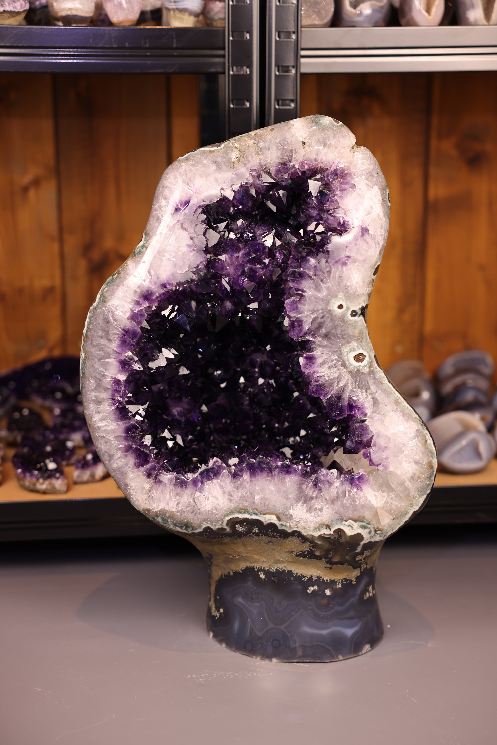 Amethyst Druse Uruguay 32,4 Kg - Luminous Core