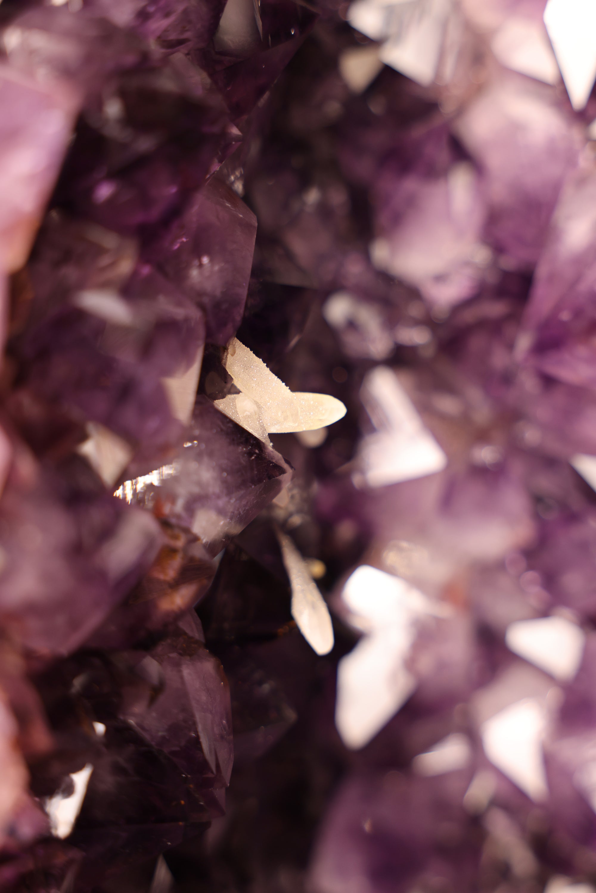 Große Amethyst Zwillings Druse Brasilien 252 Kg - Split Monolith