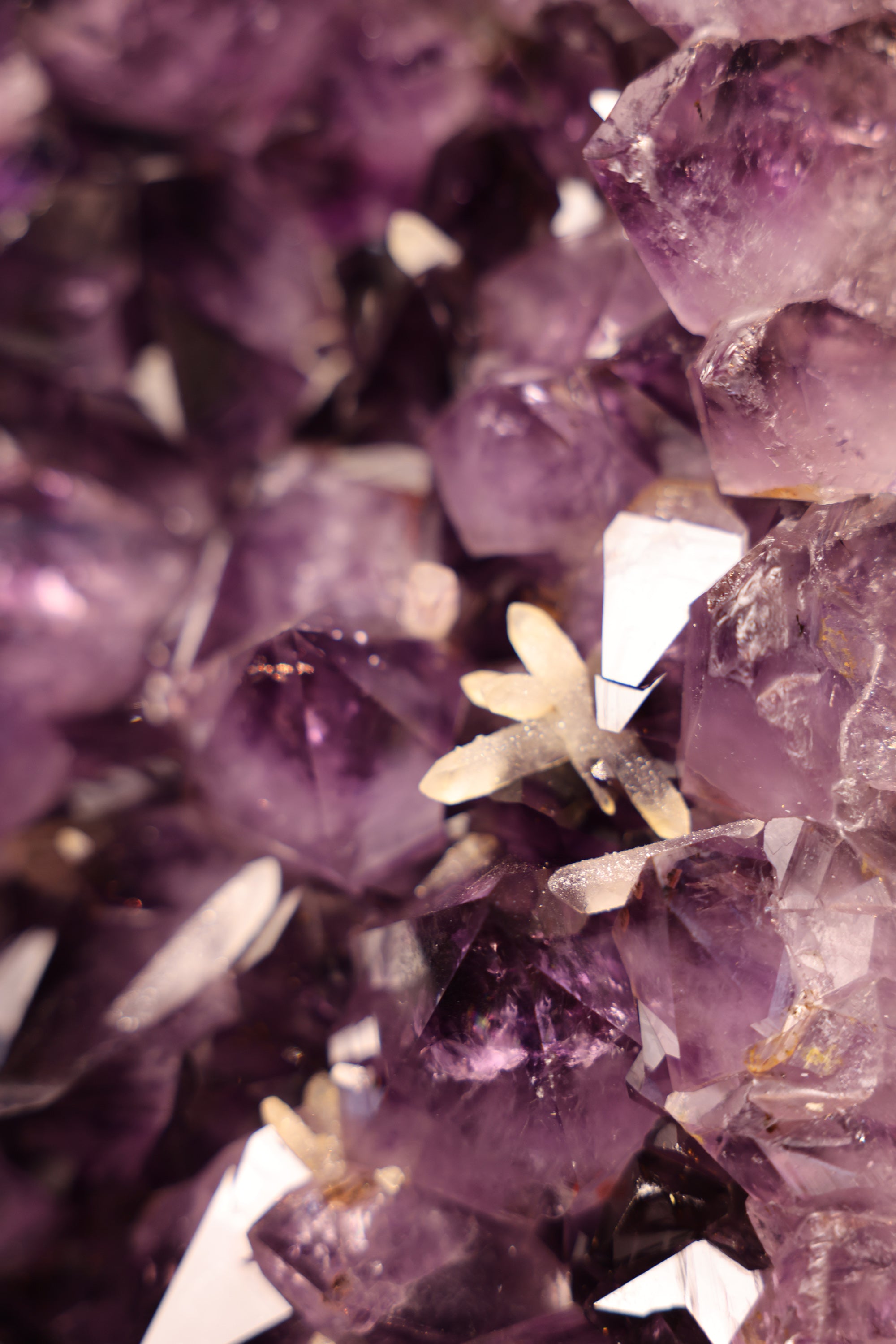 Große Amethyst Zwillings Druse Brasilien 252 Kg - Split Monolith