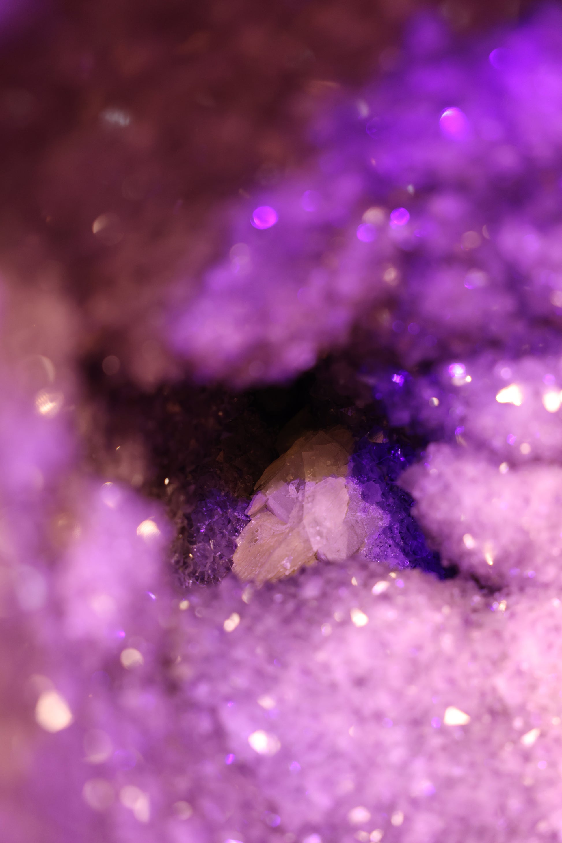 Große Amethyst Geode Uruguay 269 Kg - Crystal Nest