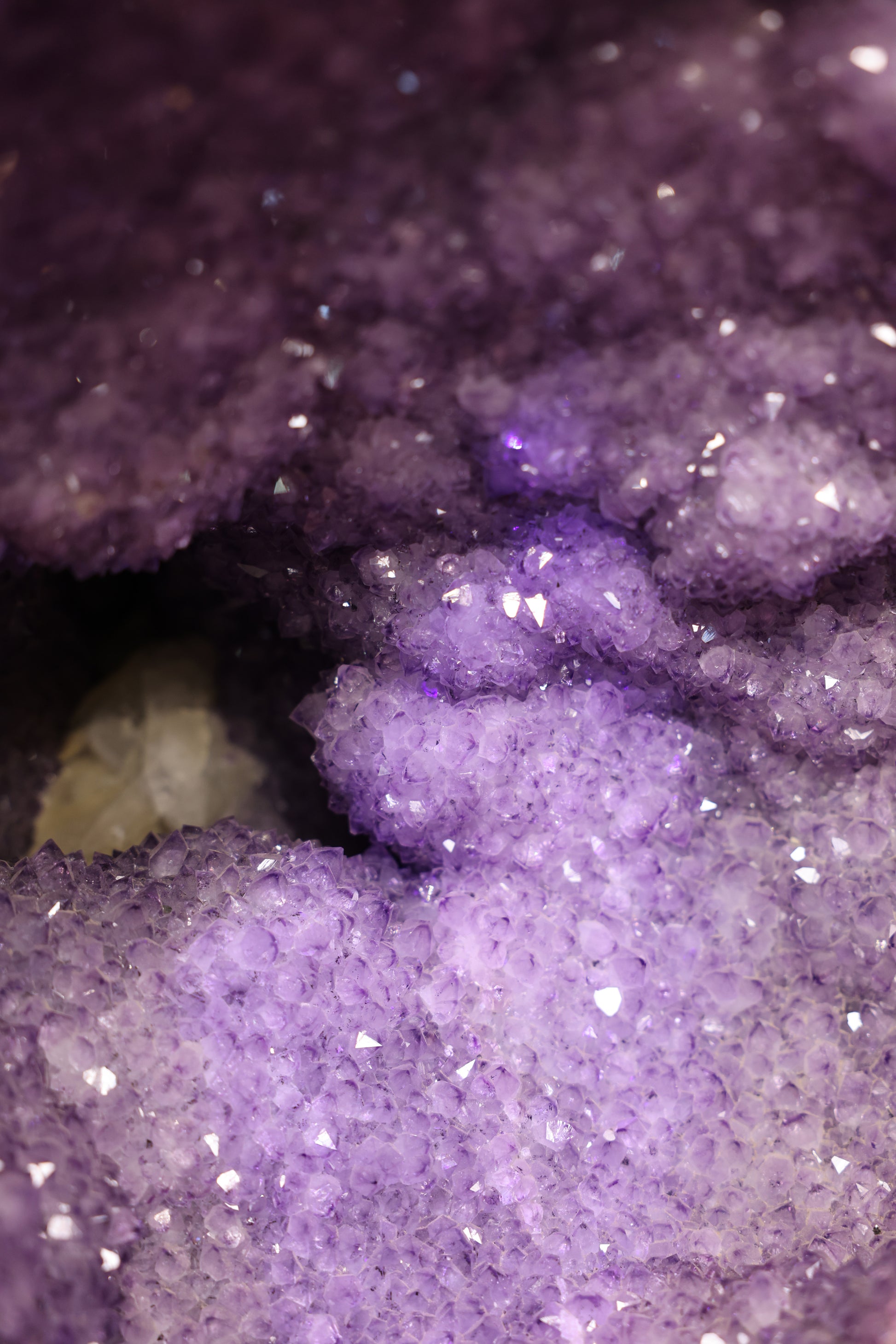 Große Amethyst Geode Uruguay 269 Kg - Crystal Nest