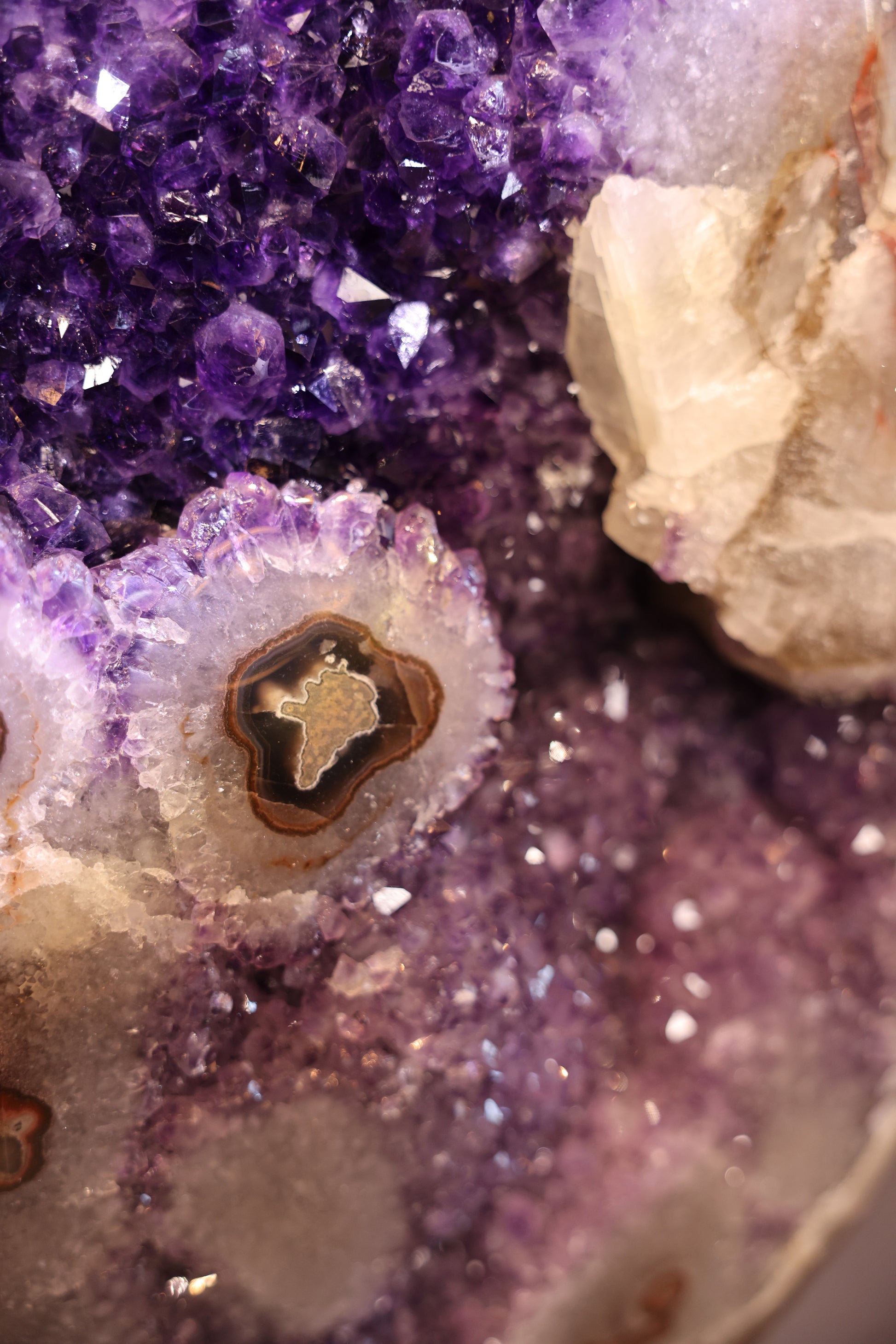 Amethyst Druse Uruguay 78,6 Kg - Crystal Eye Formation