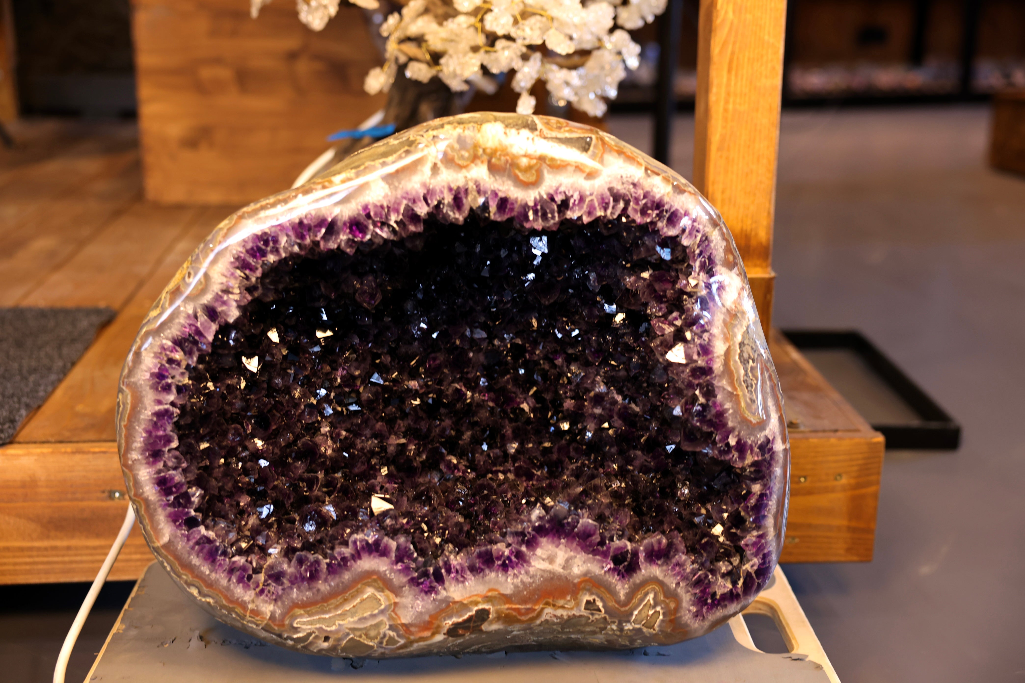 Große Uruguay Amethyst-Druse mit sehr dunkler violetter Kristallstruktur und natürlichem Achatrand