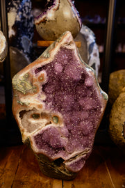 Amethyst Geode Uruguay 48,4 kg violette Kristalle natürliche Form polierte Außenkante Unikat