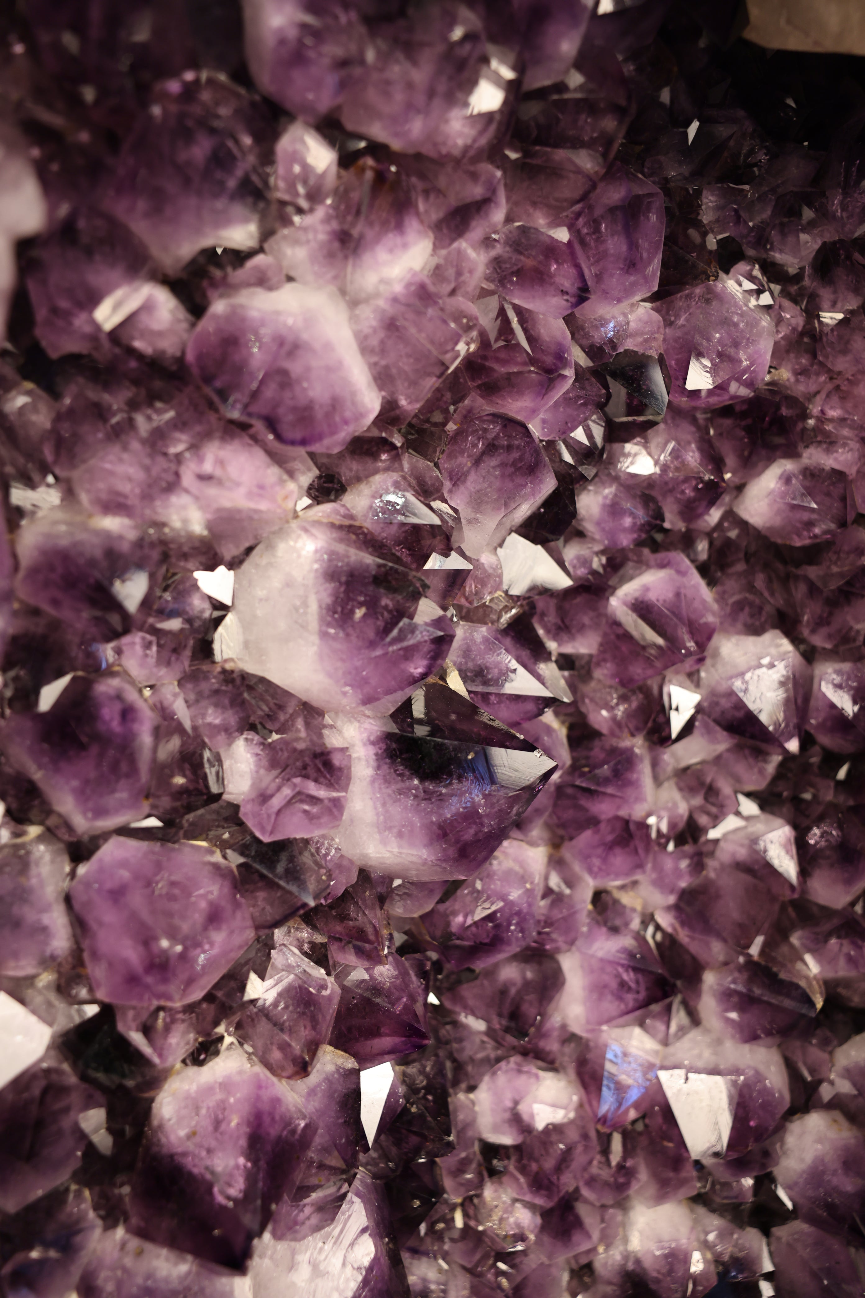 Große polierte Amethyst Geode mit violetten Kristallen und Calcit aus Brasilien 350 kg