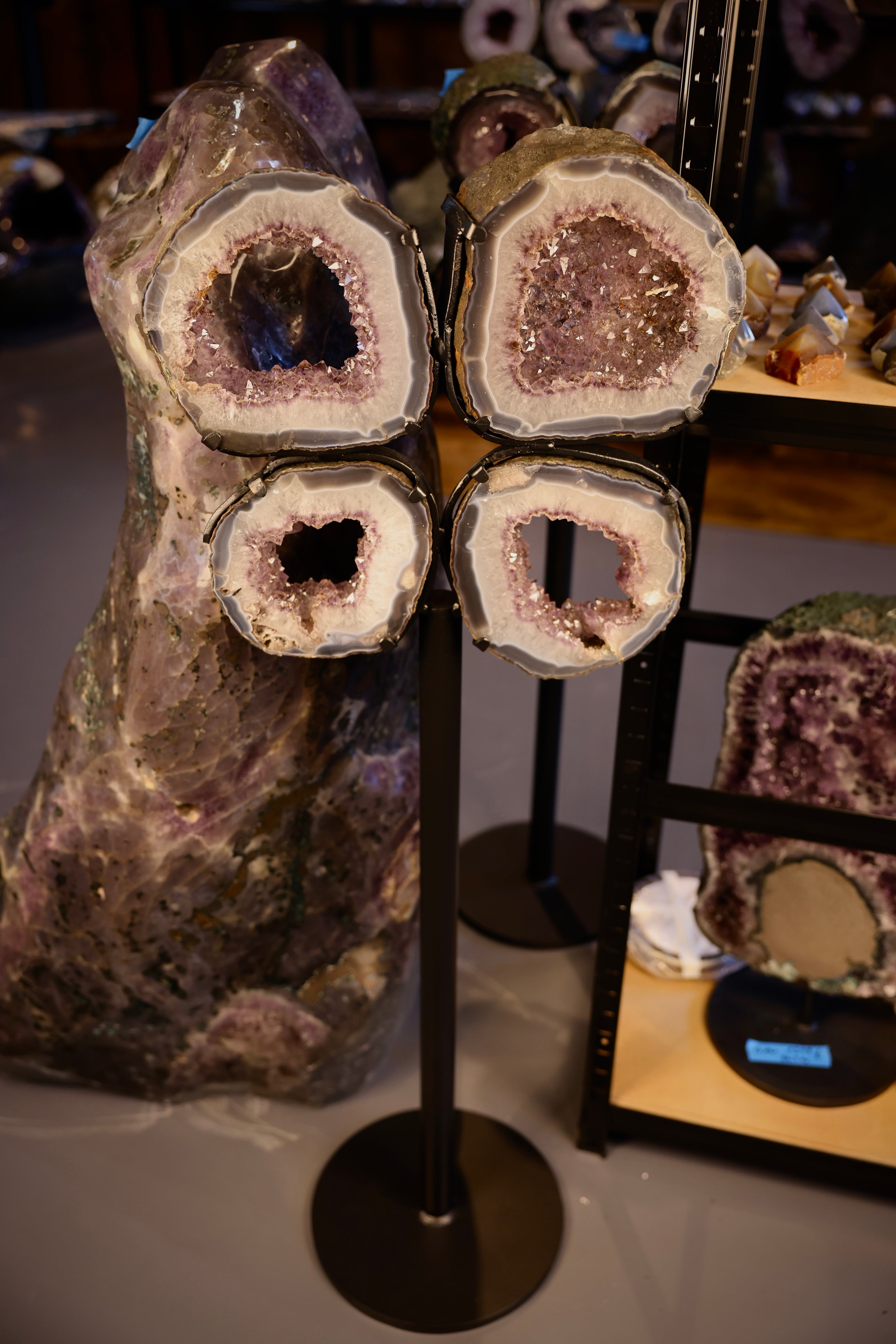 Amethyst Portal Scheiben in Blumenform auf Stahlständer dekorativ angeordnet