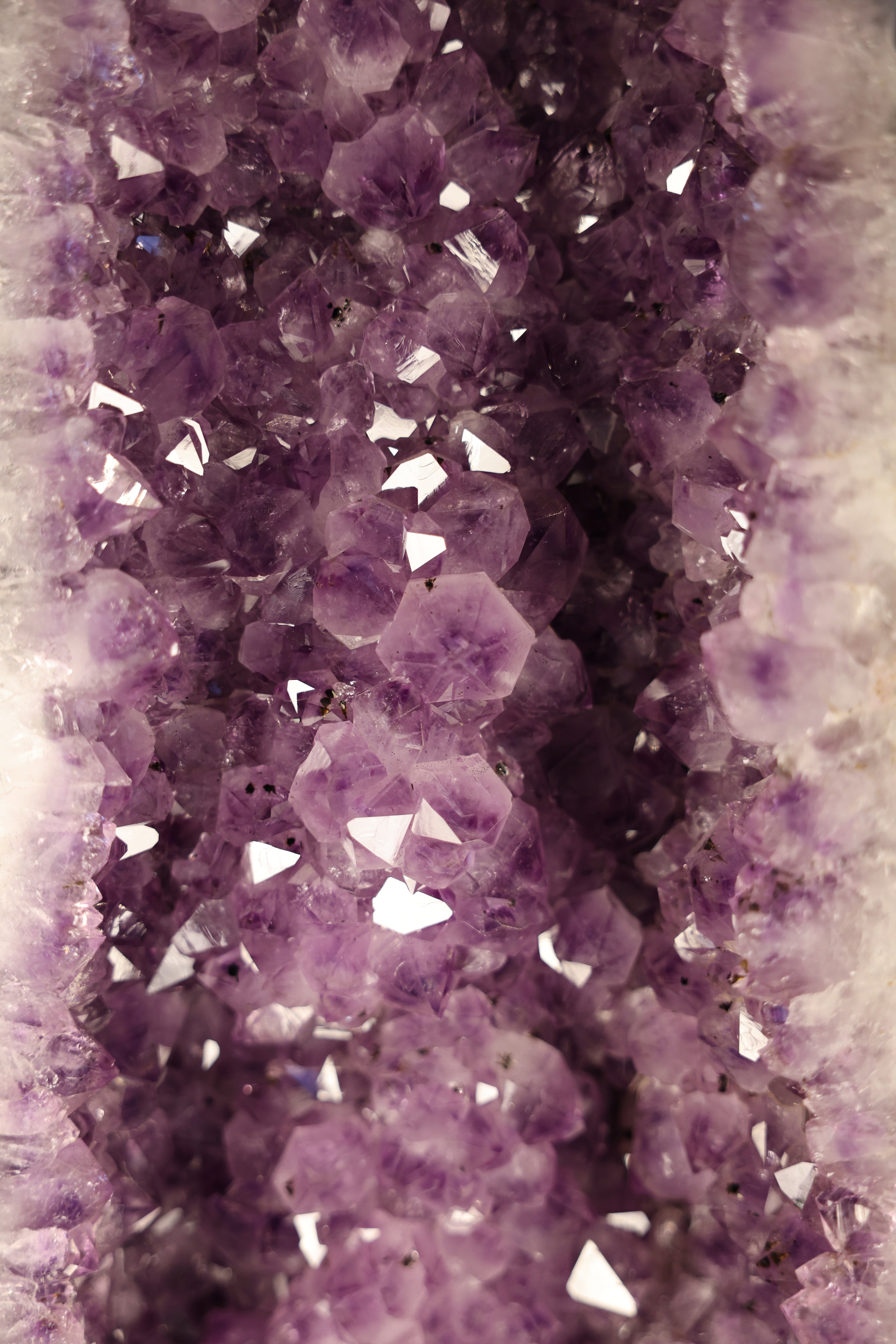 Amethyst-Druse „Twin Cathedral XL“ – 91 kg