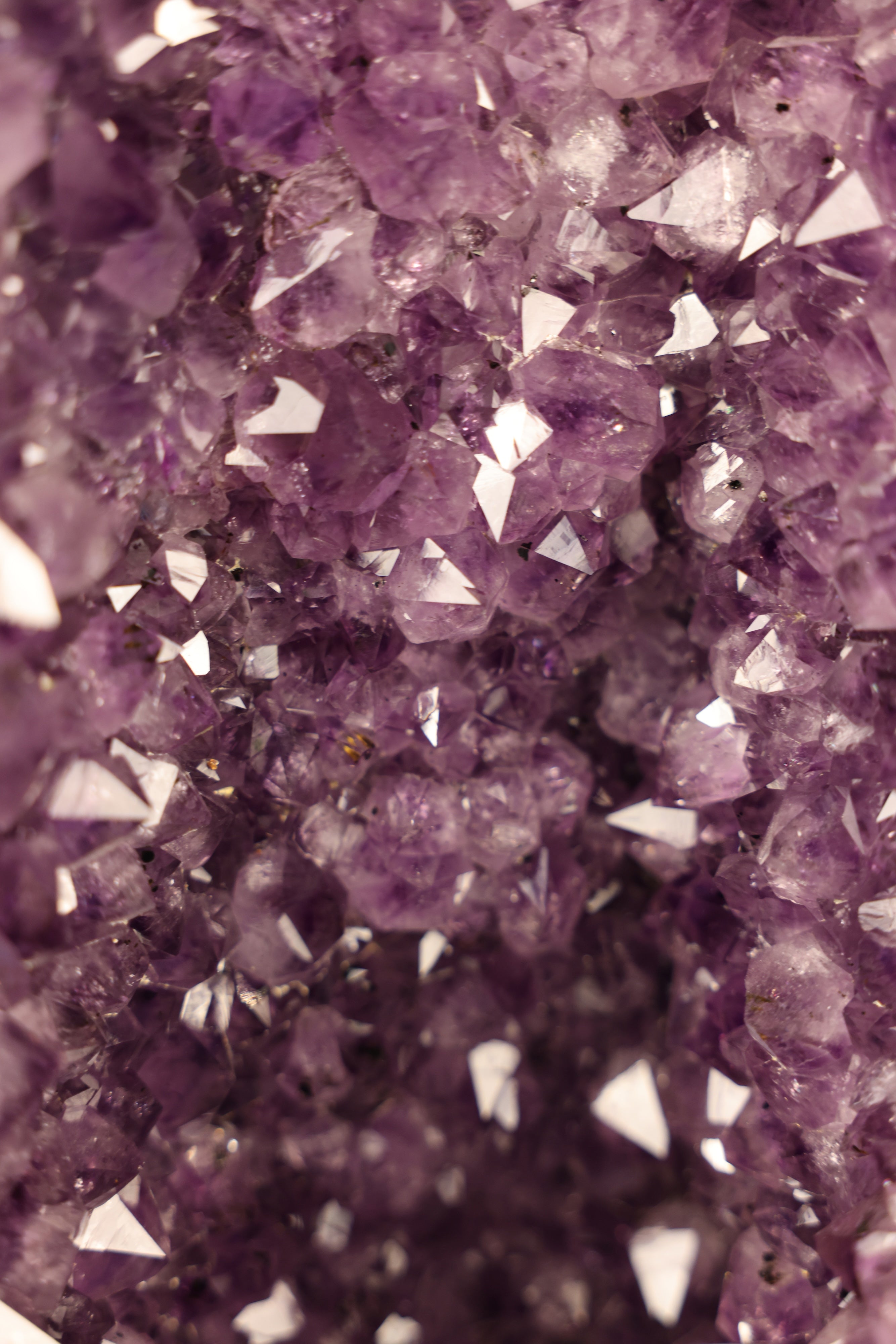 Amethyst-Druse „Twin Cathedral XL“ – 88 kg