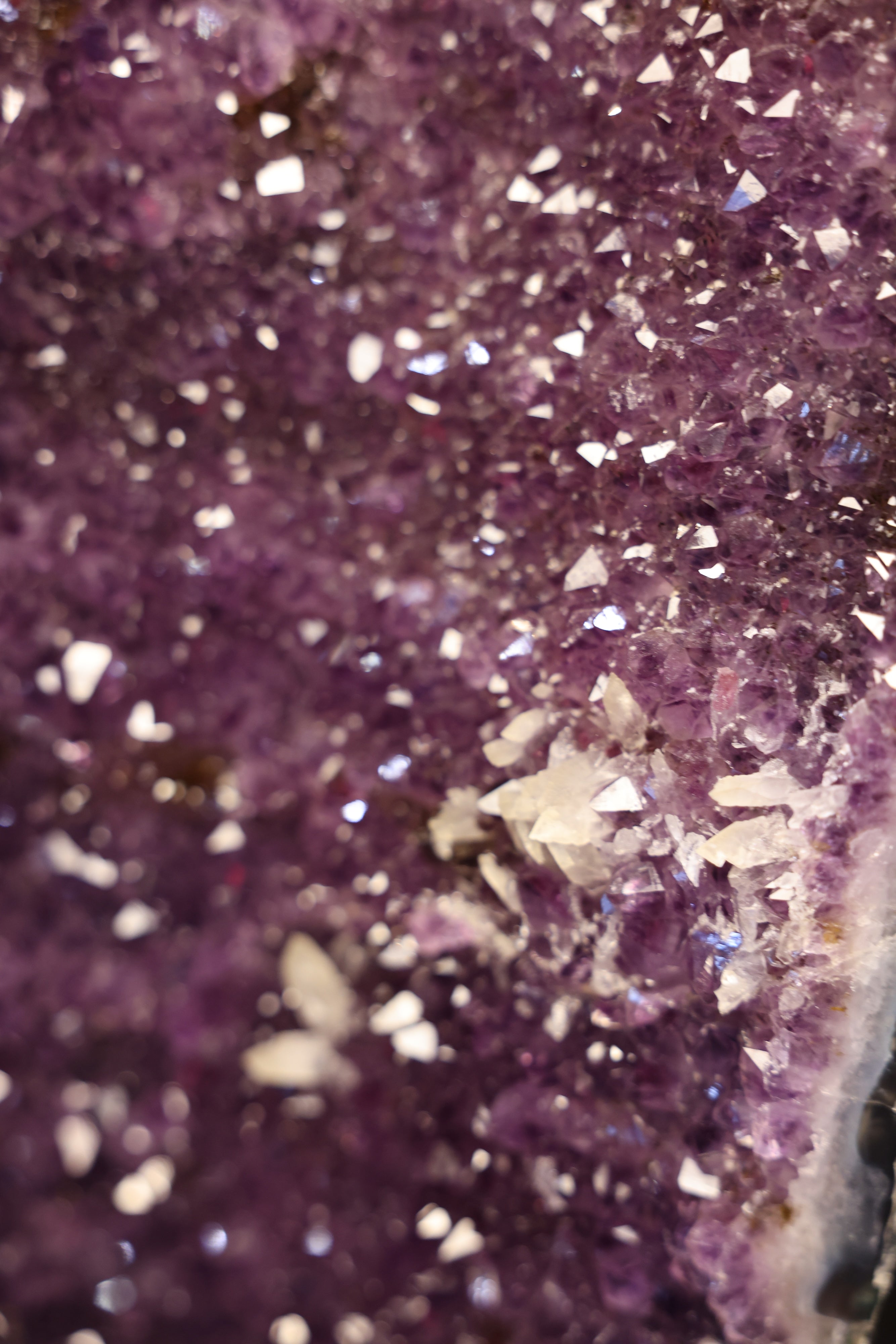 Amethyst-Druse „Twin Cathedral XL“ – 88,7 kg