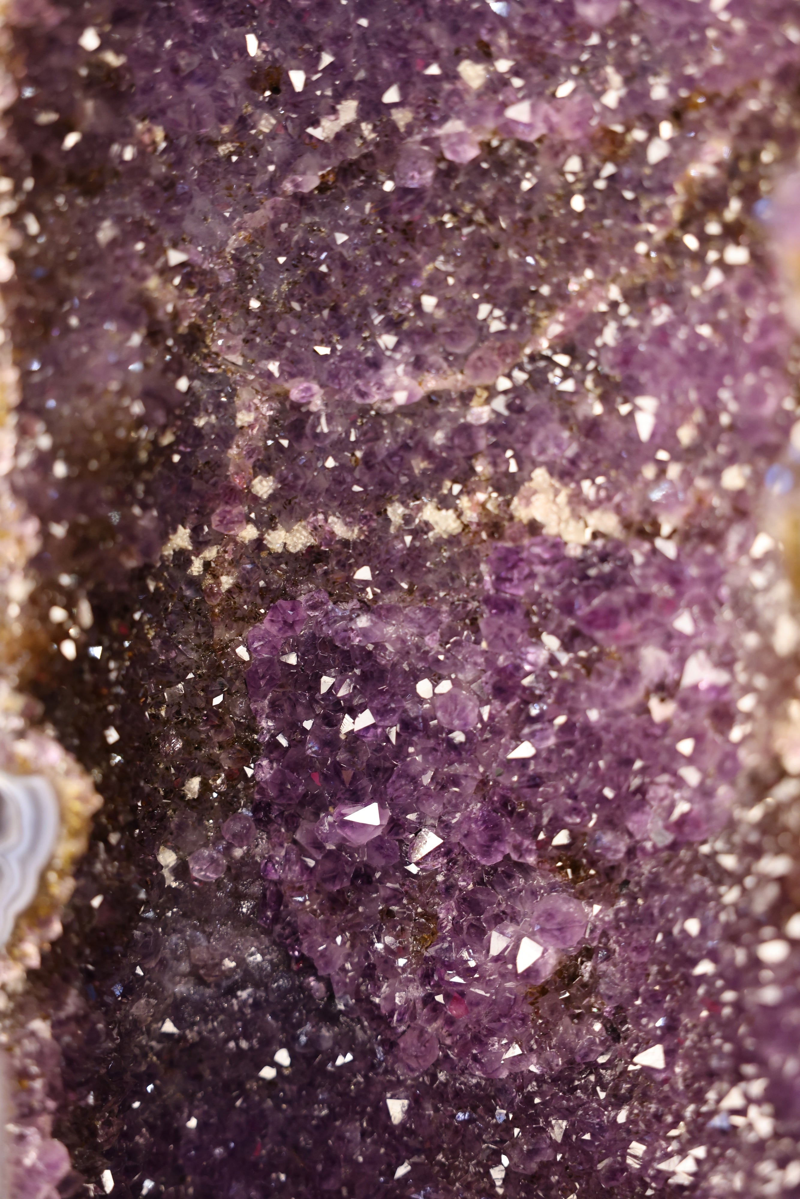 Amethyst-Druse „Twin Cathedral XL“ – 88,7 kg