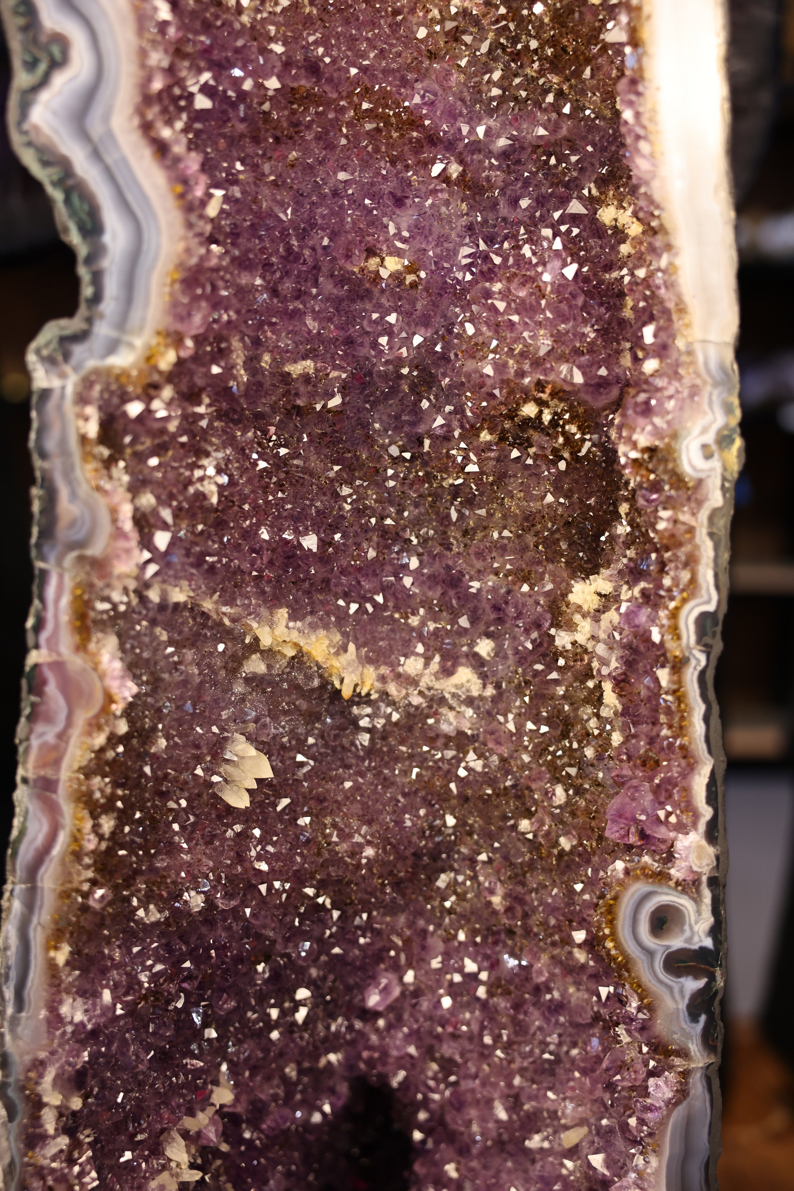 Amethyst-Druse „Twin Cathedral XL“ – 81,4 kg