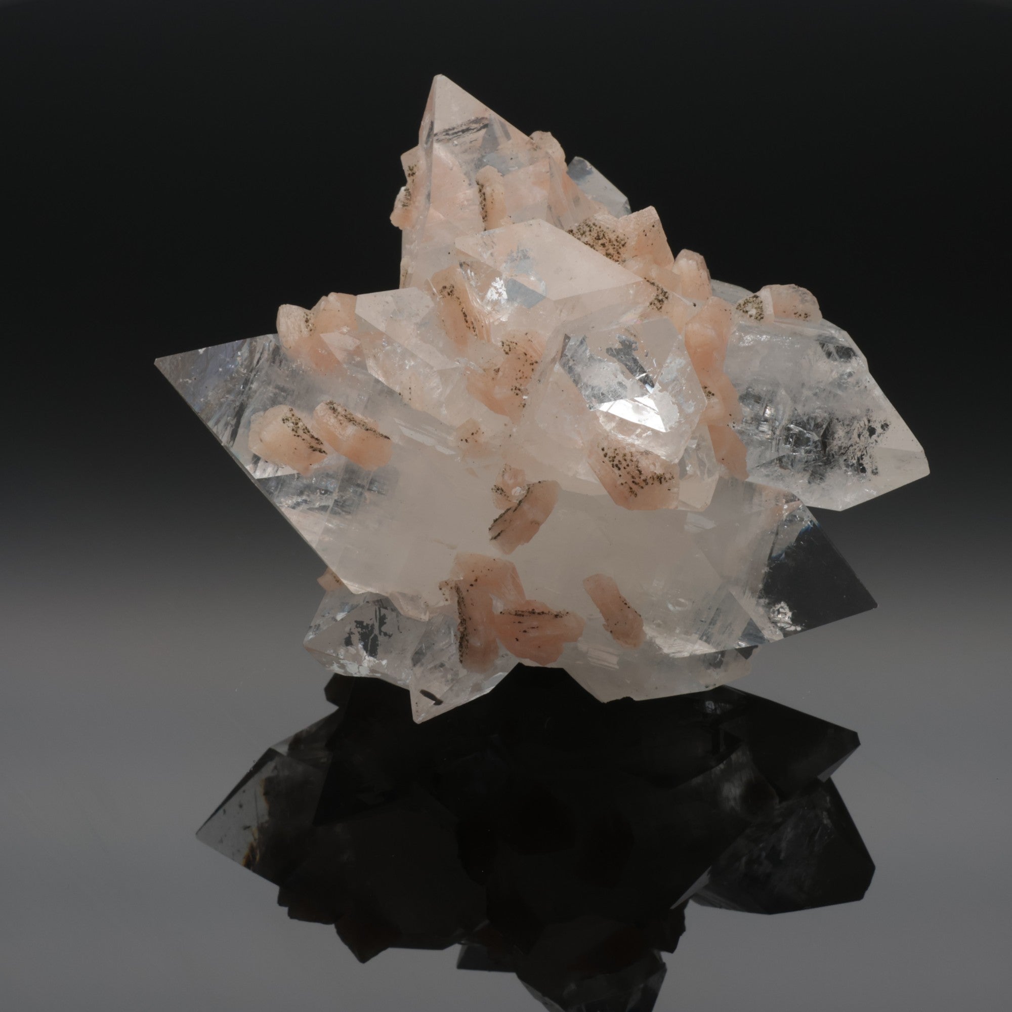 CRYSTAL BLOSSOM | Apophyllit mit Stilbit aus Jalgaon, Indien | 232 g | Unikat (#1096)