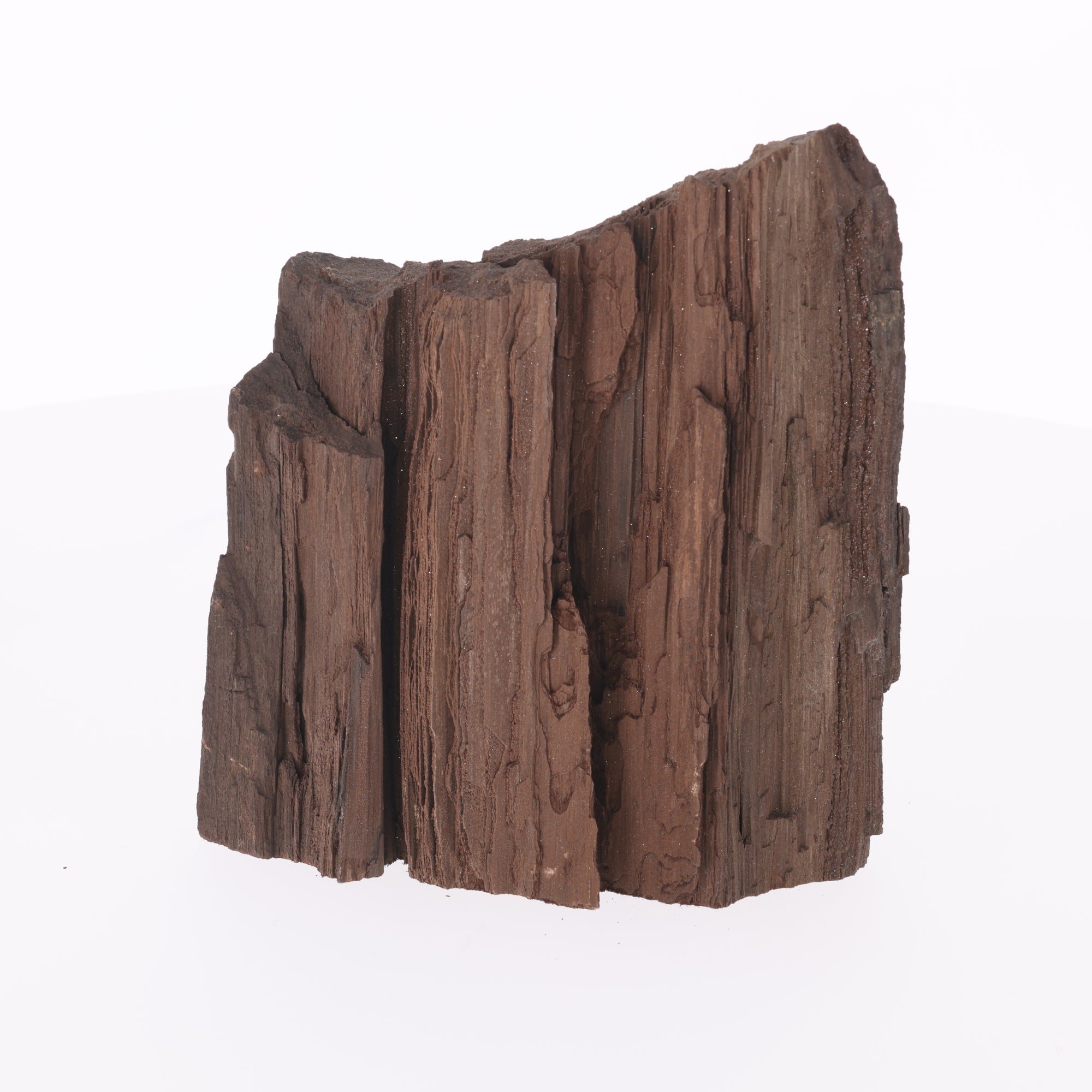 Feenholz mit natürlicher Kristallbildung | Versteinertes Holz aus Zwenkau | 3734 g (#1425)